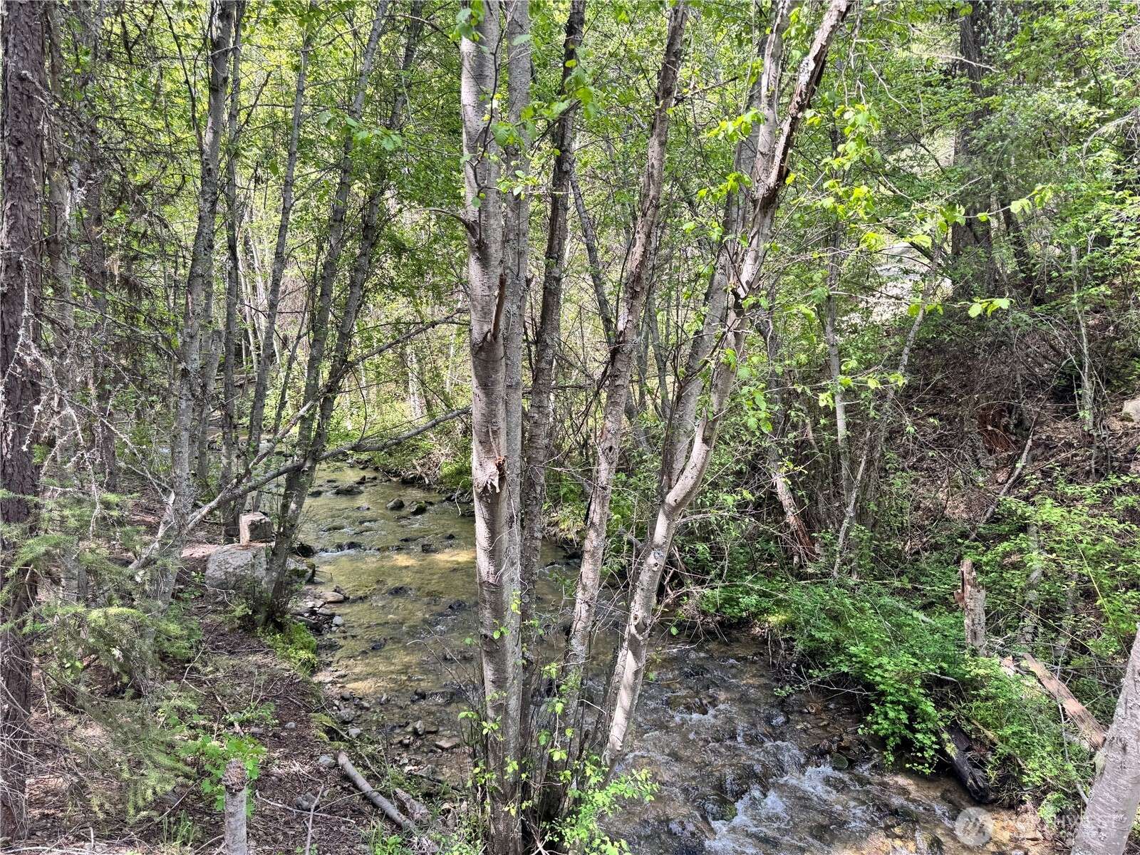 Wauconda, WA 98859,62 Cougar Creek RD