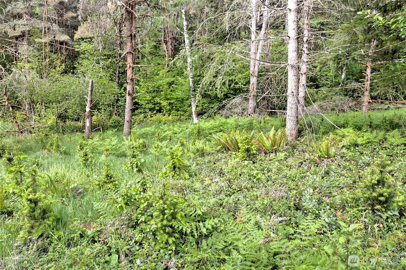 Belfair, WA 98588,0 NE Cheyanne Hill DR