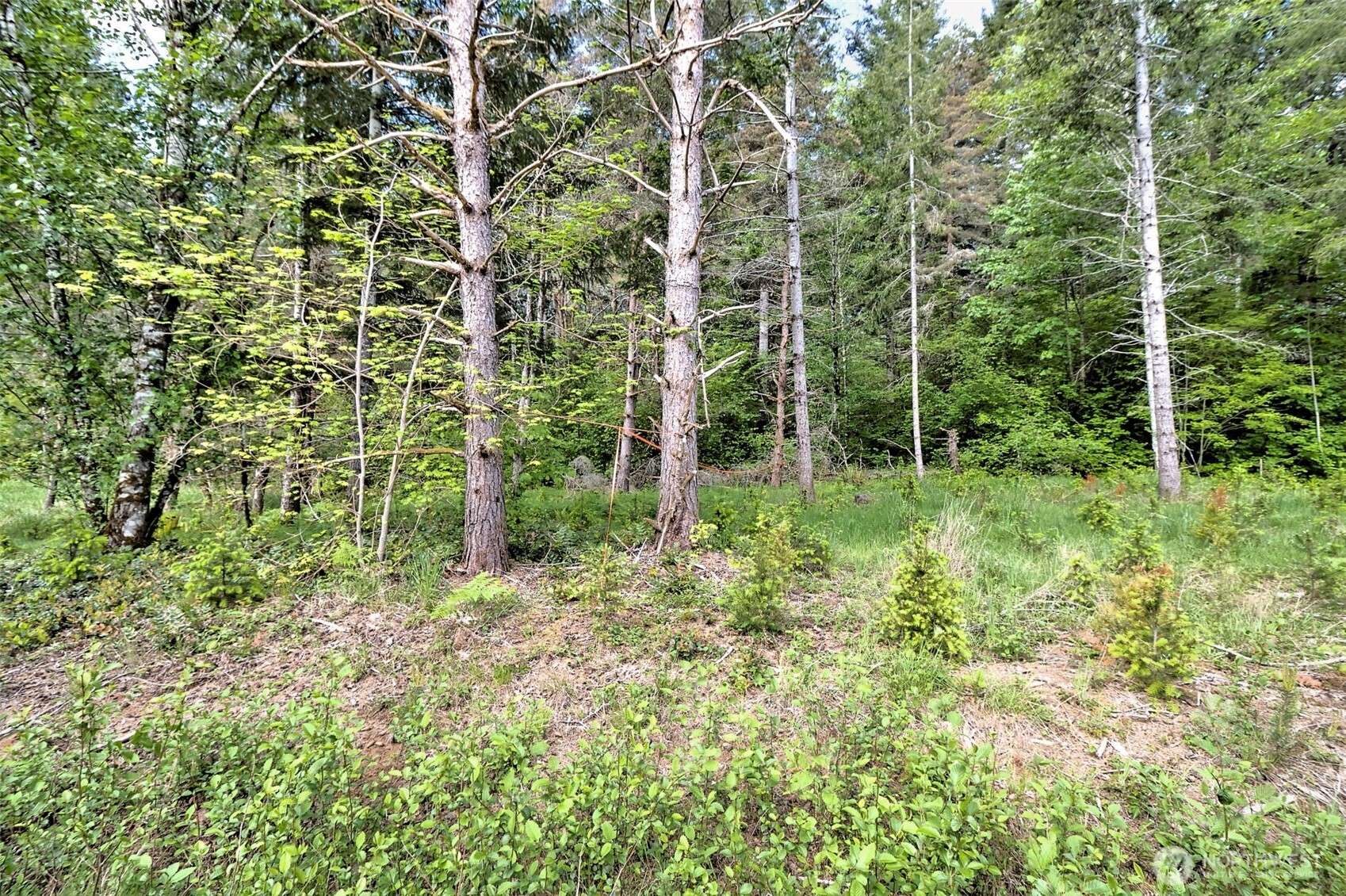 Belfair, WA 98588,0 NE Cheyanne Hill DR