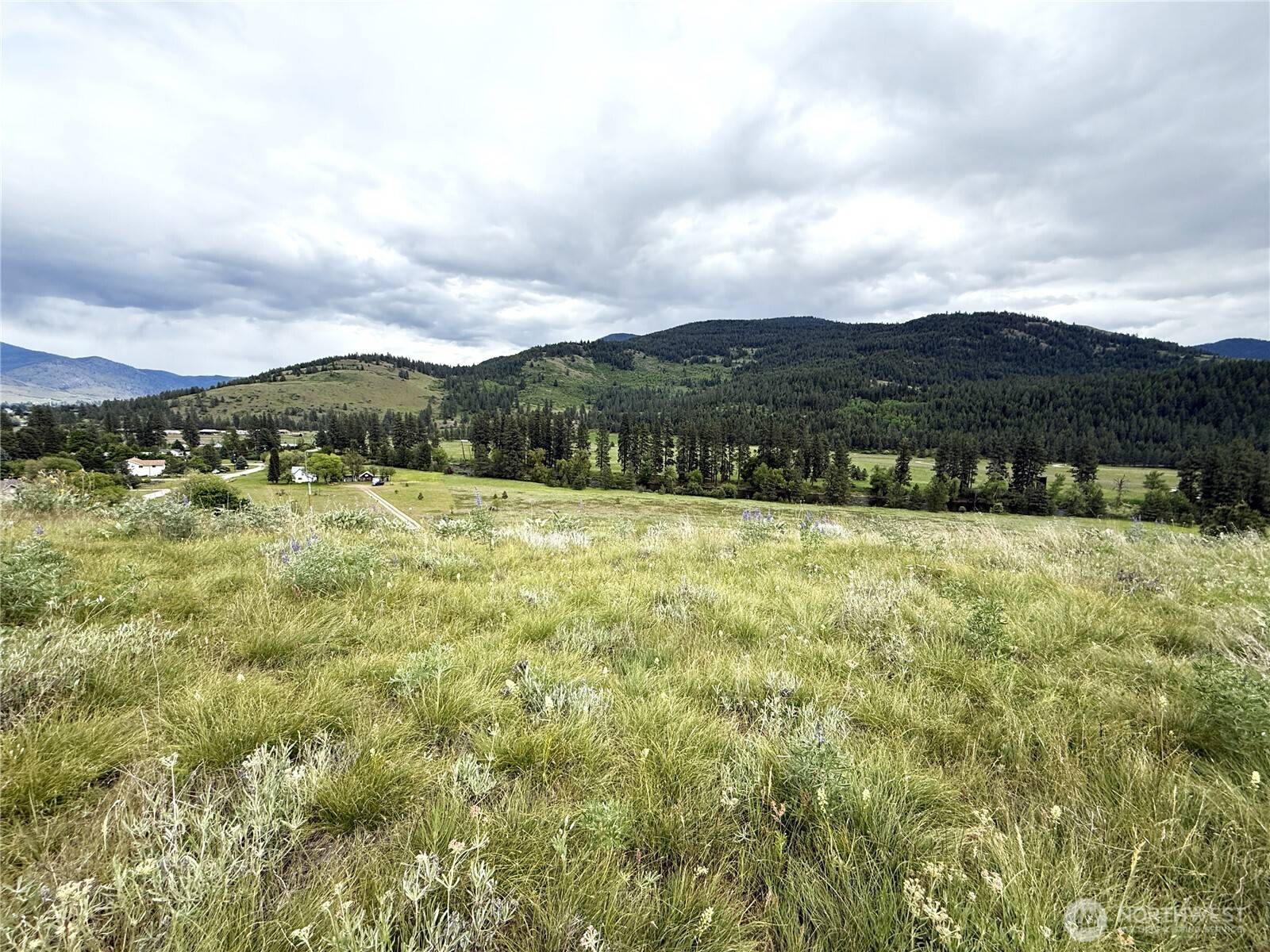 Danville, WA 99121,19109 Highway 21 N