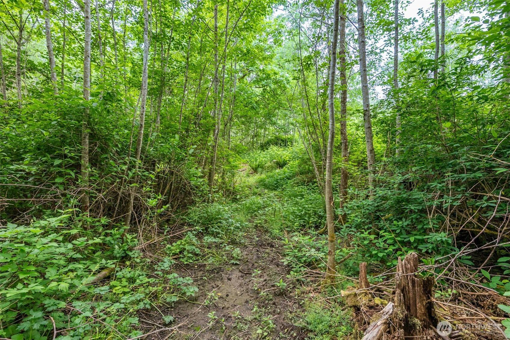 Hansville, WA 98340,36100 NE Hood Canal DR