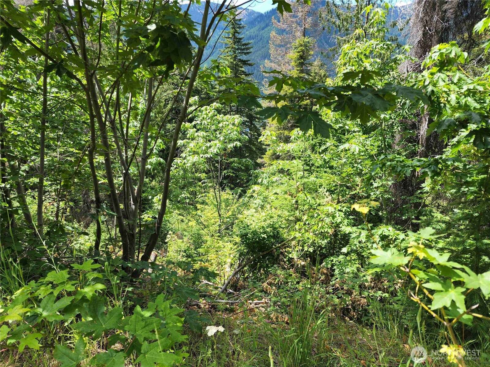 Ronald, WA 98940,7 Newport Creek LOOP