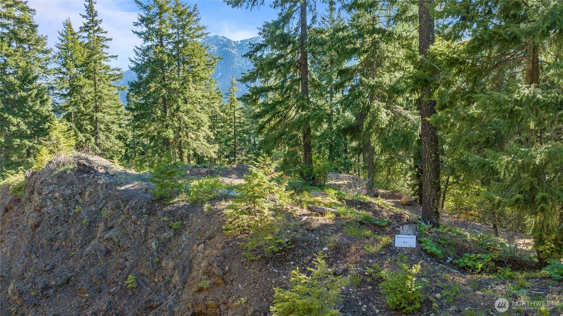 Ronald, WA 98940,1 Newport Creek LOOP