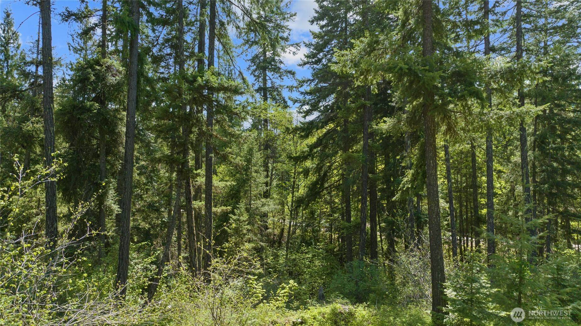 Ronald, WA 98941,9 Salmon La Sac HWY