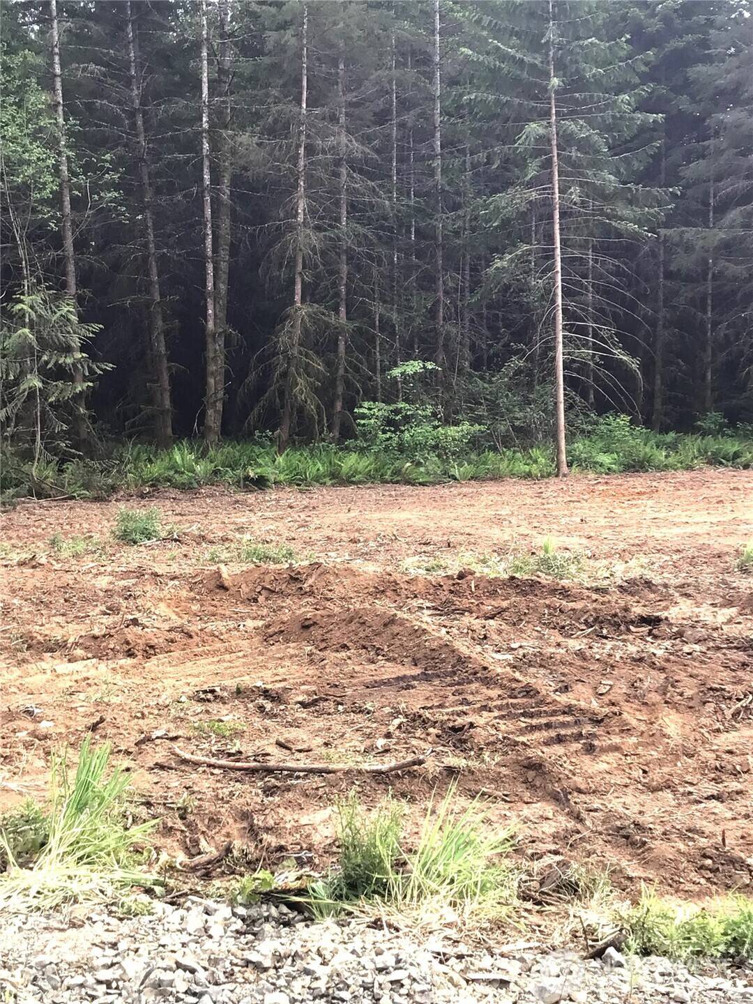 Winlock, WA 98596,566 Tennessee RD