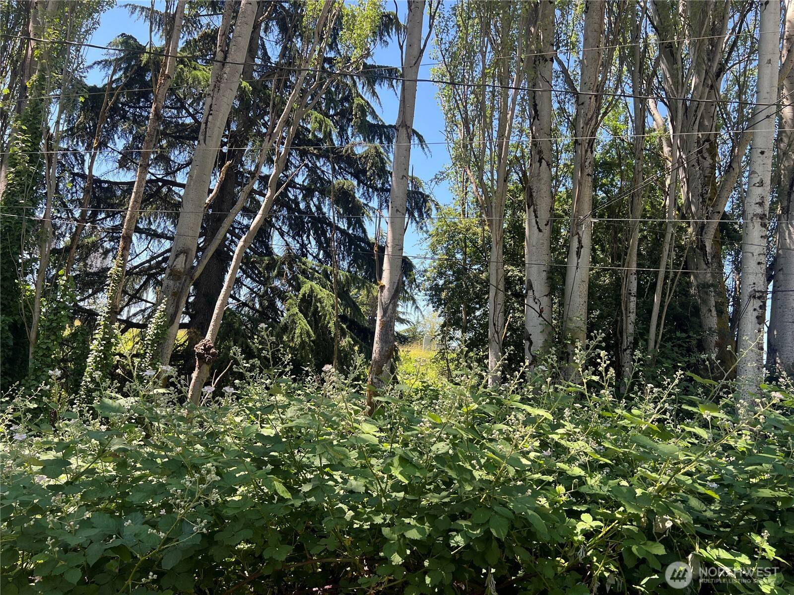 Seattle, WA 98108,79 XX Military RD S