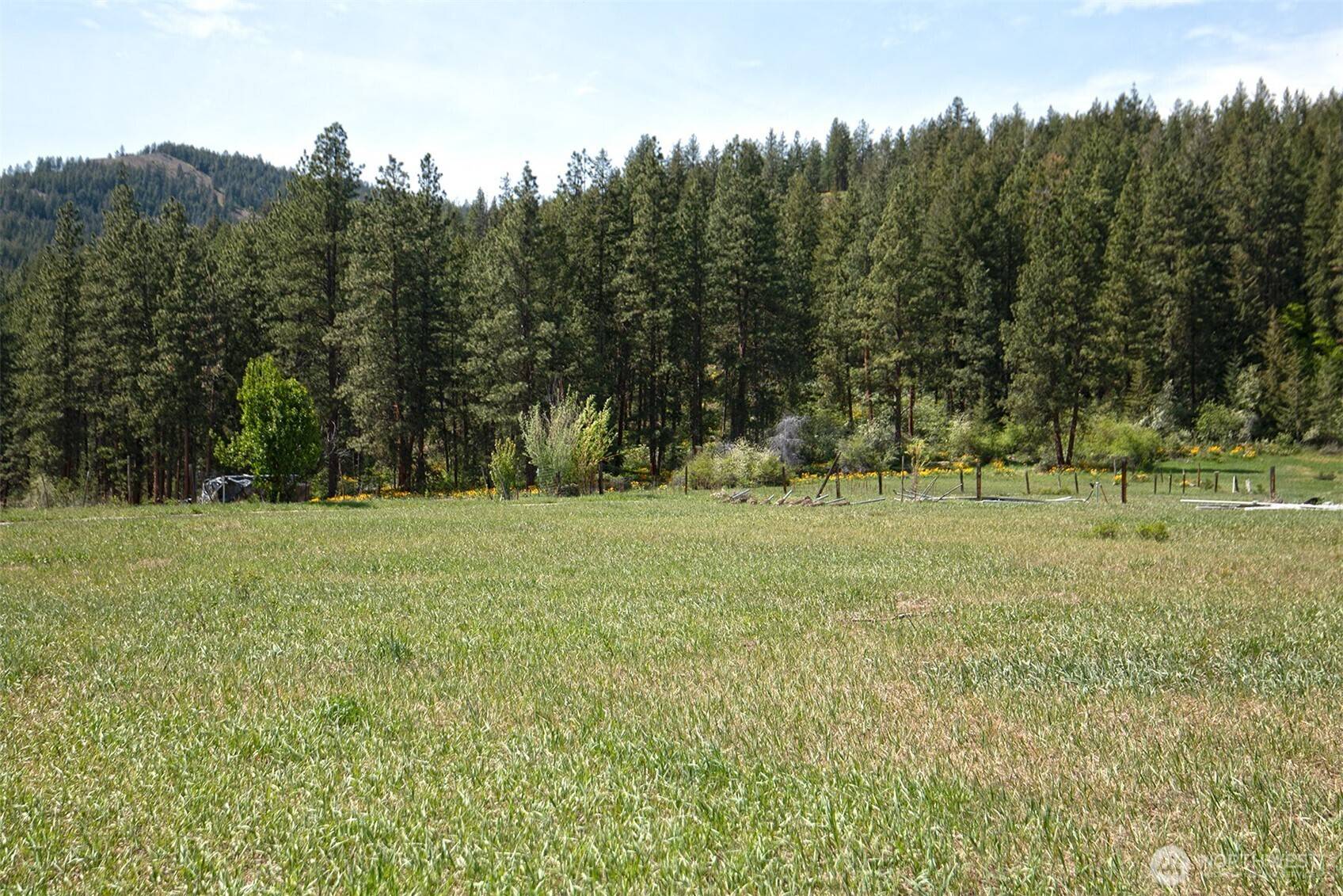 Twisp, WA 98856,64 Elmer RD
