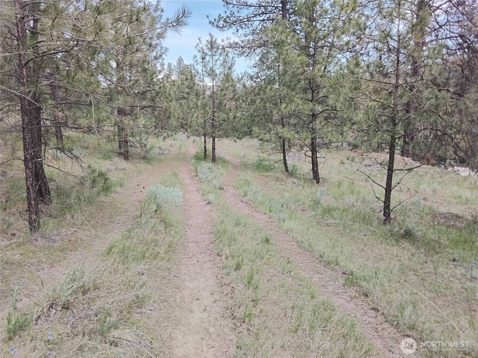 Tonasket, WA 98855,0 Cape Labelle RD