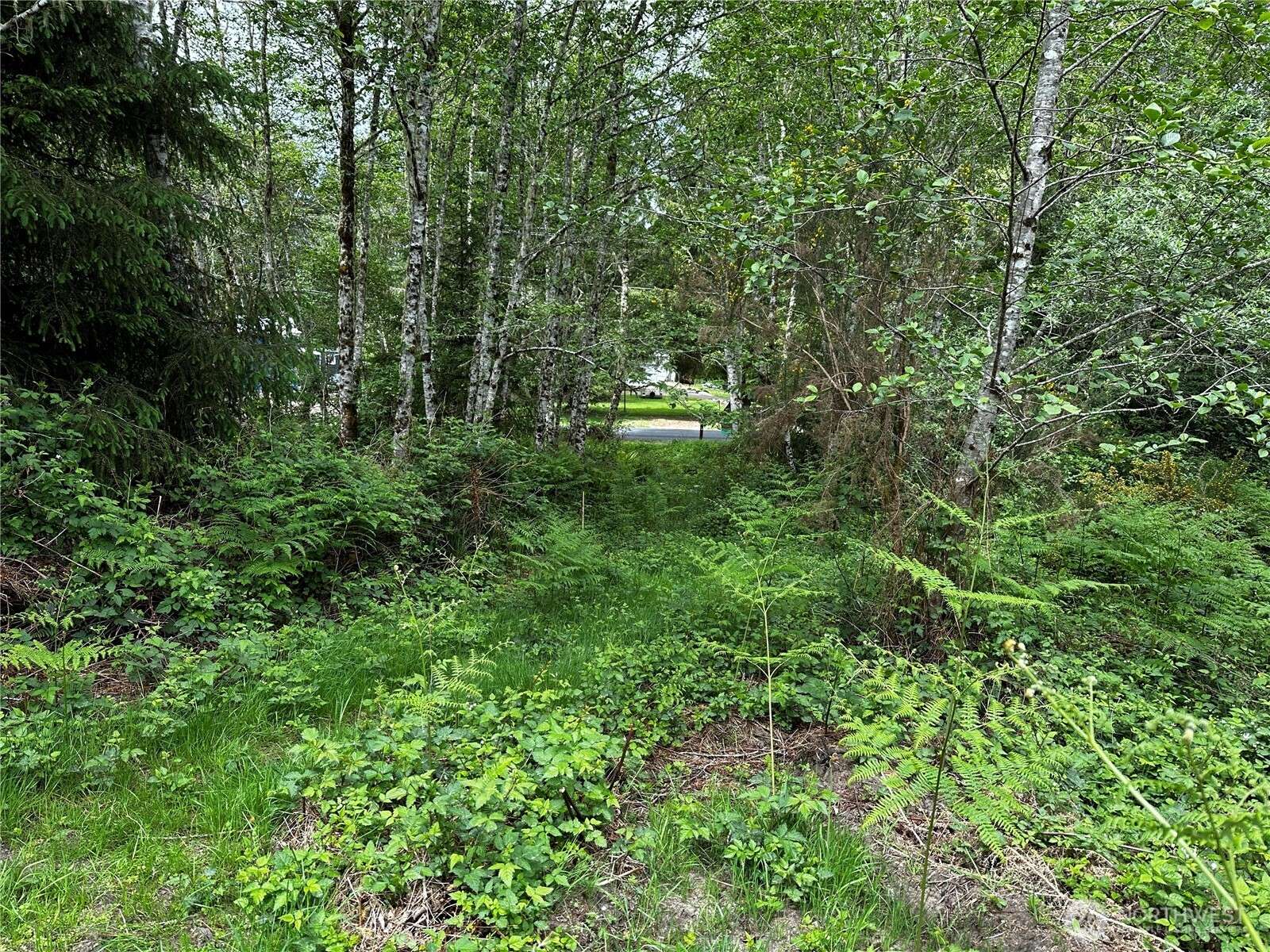 Oysterville, WA 98640,31010 Sandridge RD