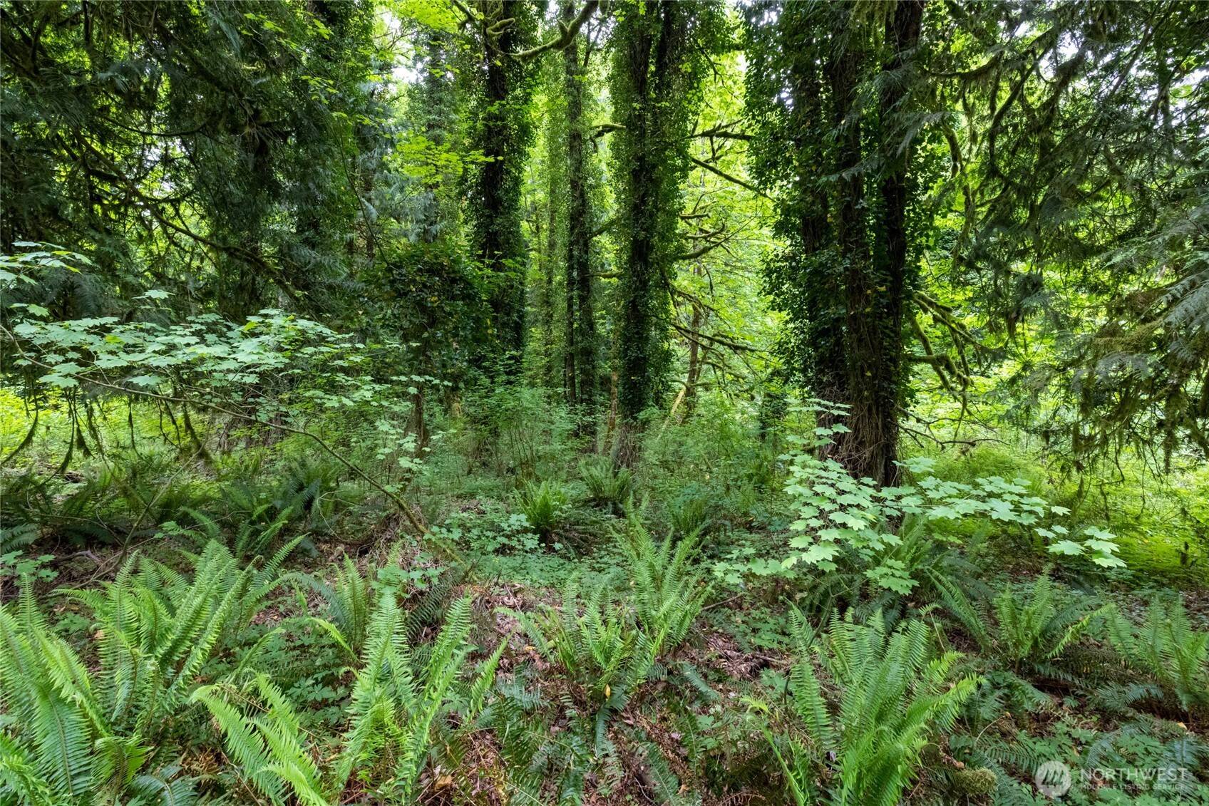 Orting, WA 98360,24118 177th ST E