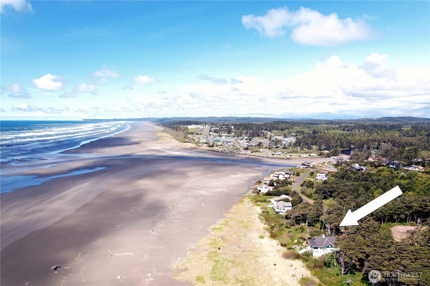 Pacific Beach, WA 98571,38 Golden LN
