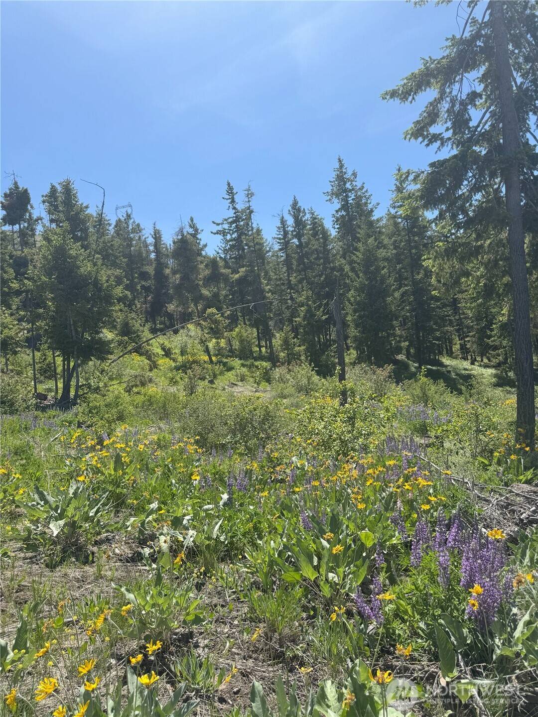 Waterville, WA 98858,0 XX Melvin RD