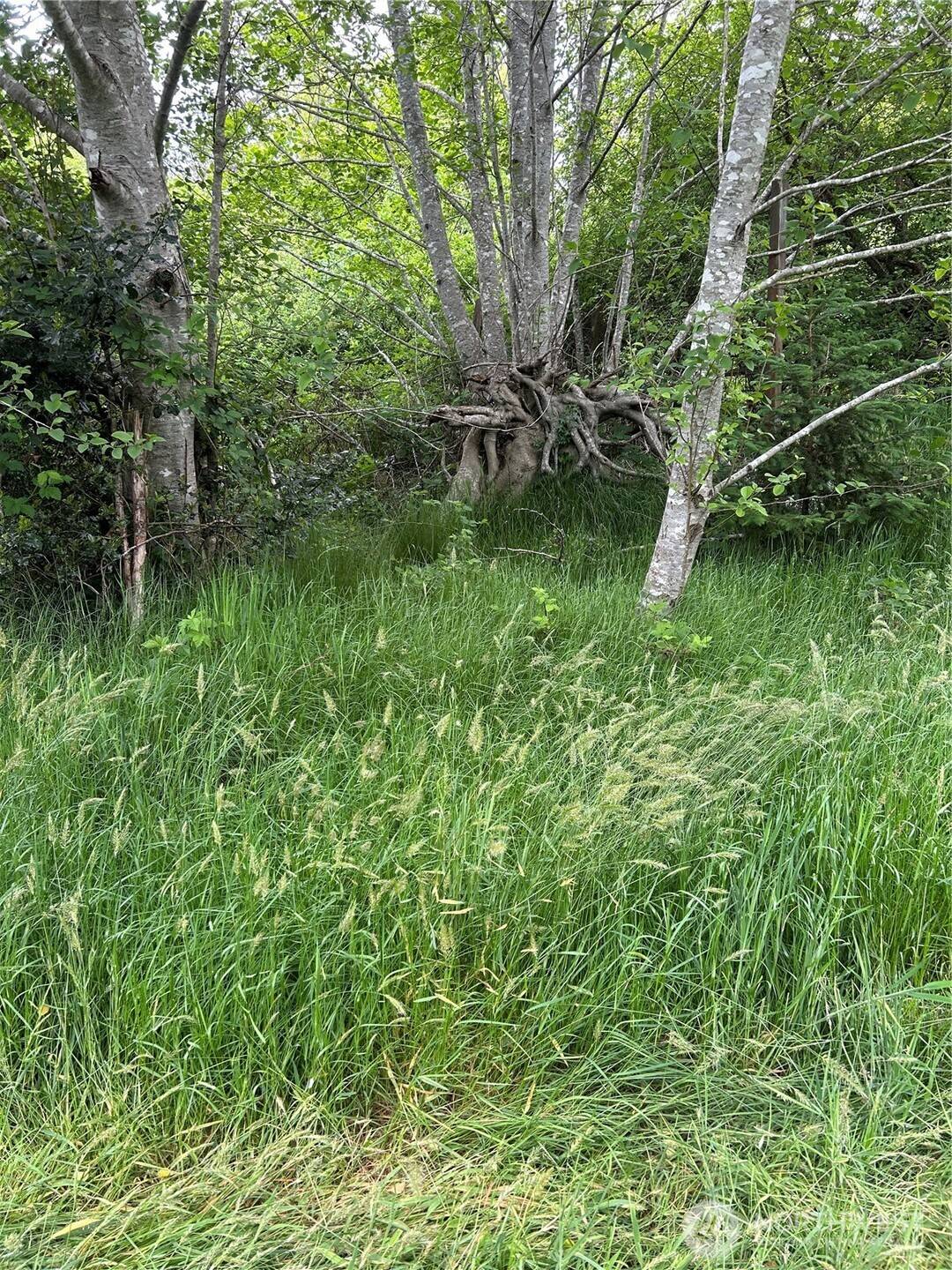 Seaview, WA 98644,14 xxx   33 PL E