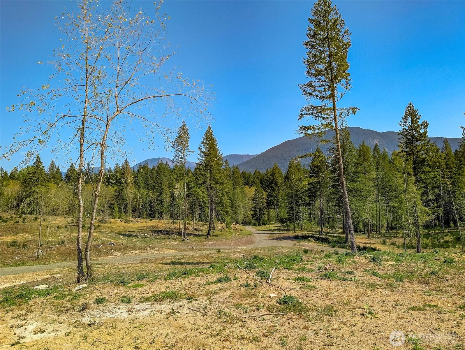 Packwood, WA 98361,0 Craig RD #Lot A3