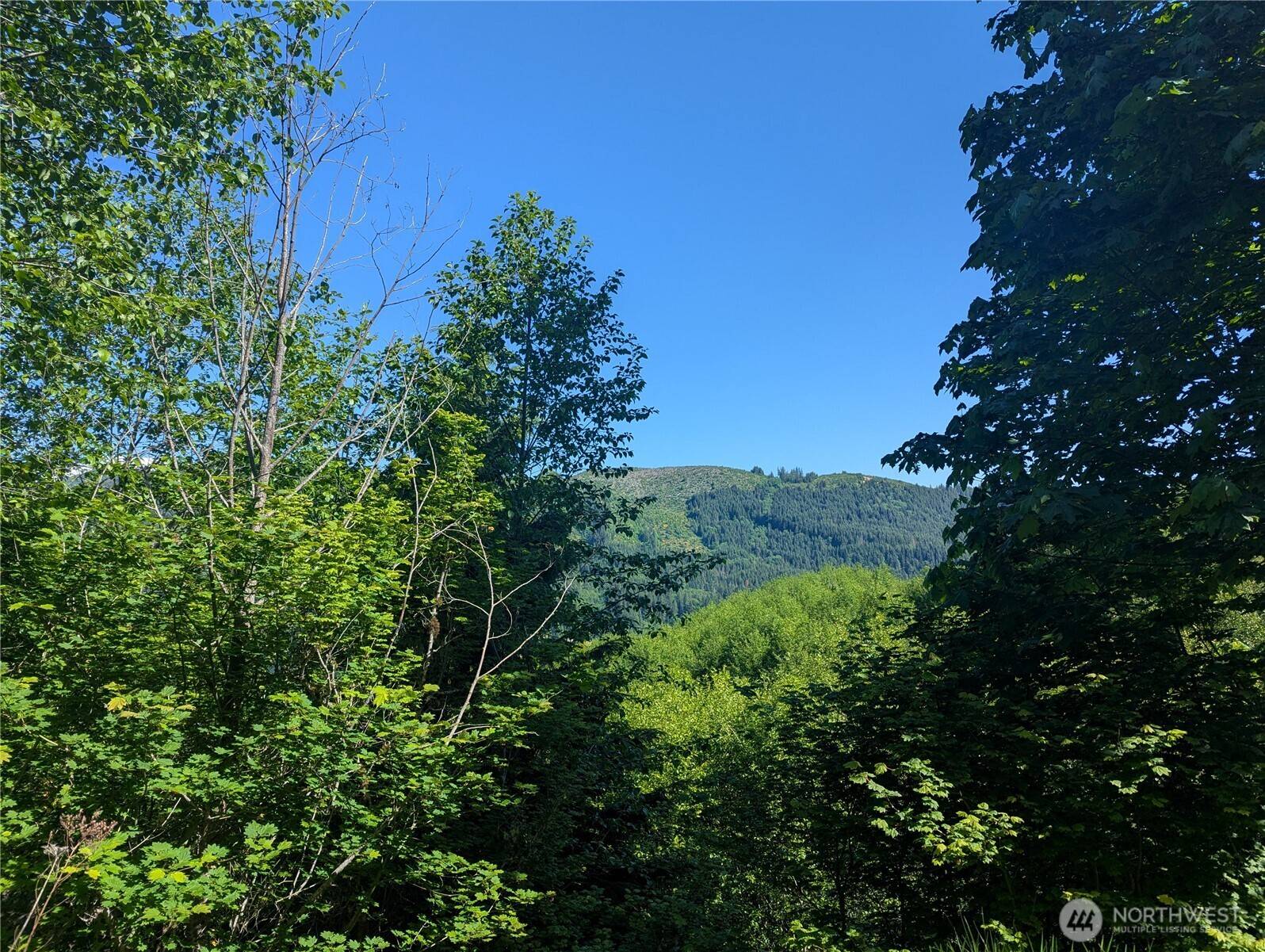 Cougar, WA 98616,0 Parcel 0706340003030