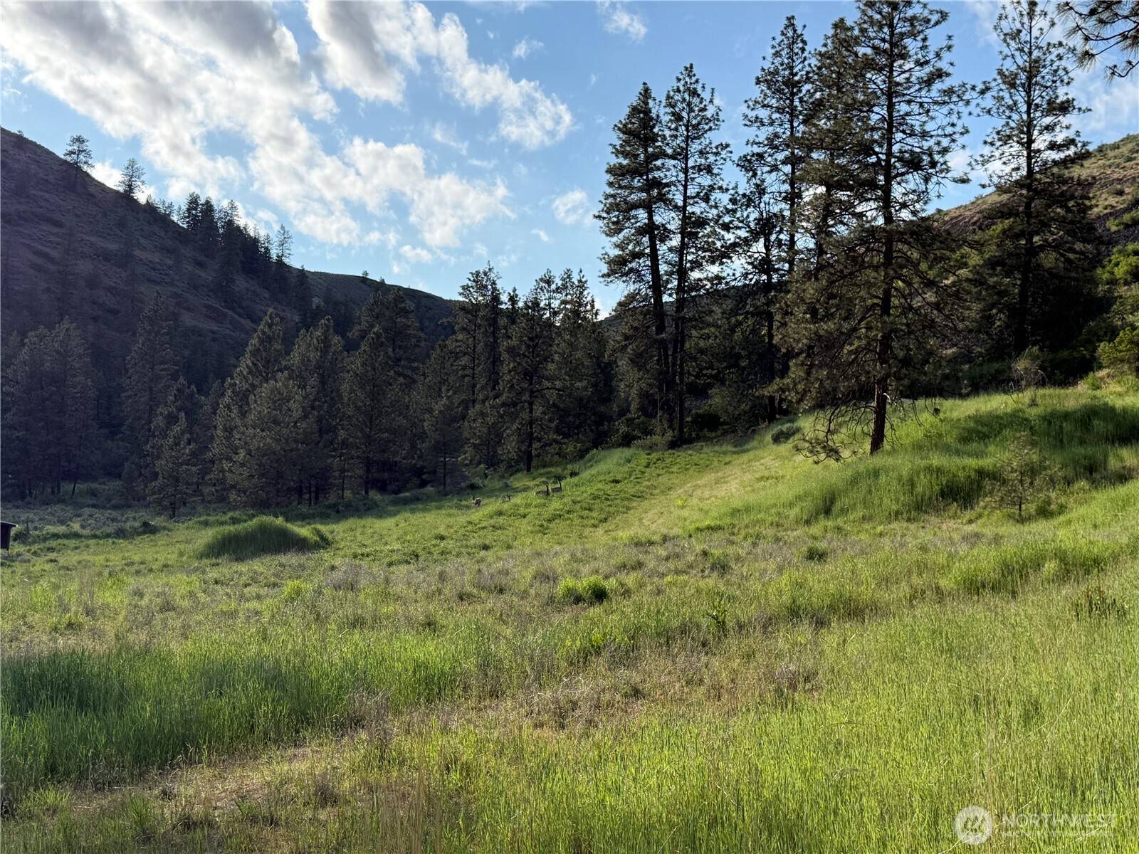Creston, WA 99117,37235 Redwine Canyon N