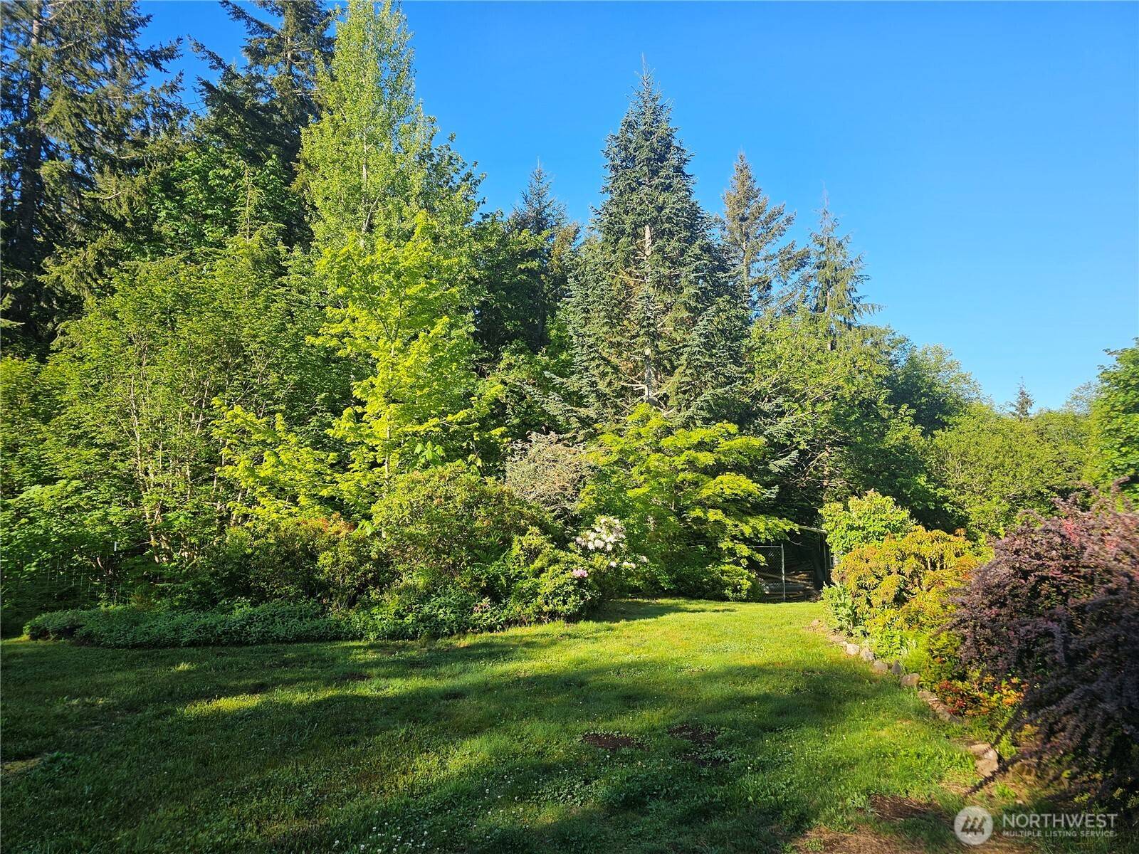 Morton, WA 98356,118 Foxglove LN
