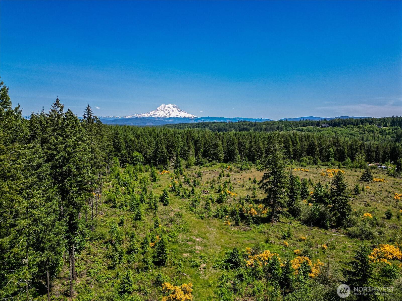 Roy, WA 98580,39507 18th AVE E