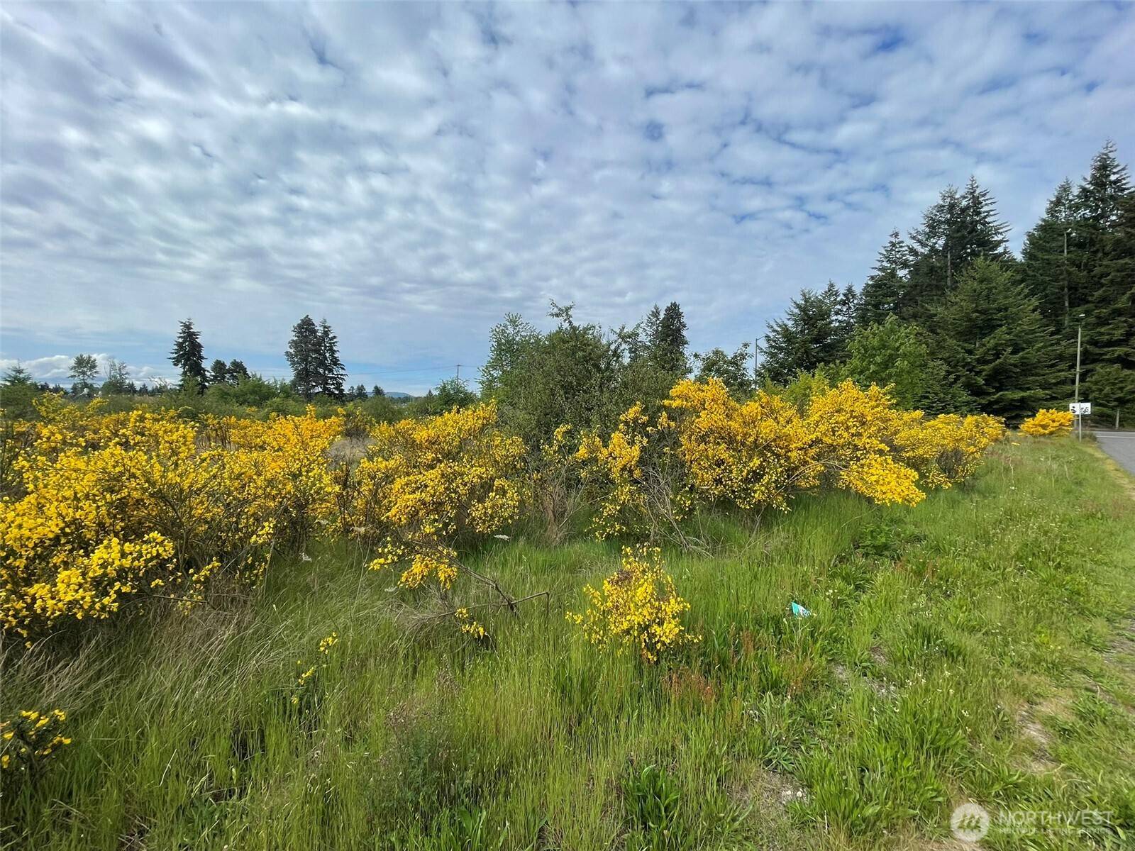 Yelm, WA 98597,111 Killion RD SE