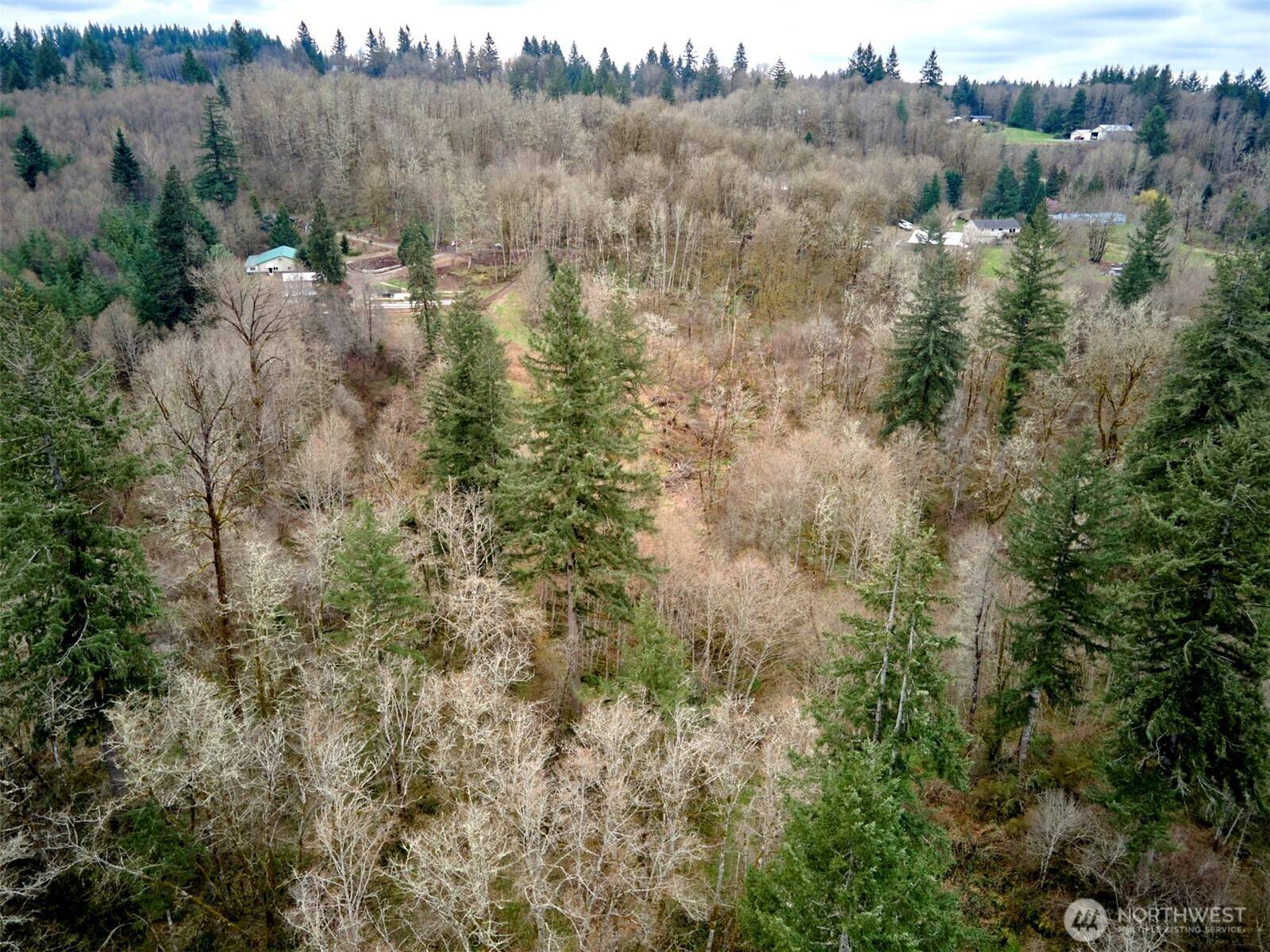 Amboy, WA 98601,13500 NE 406th ST