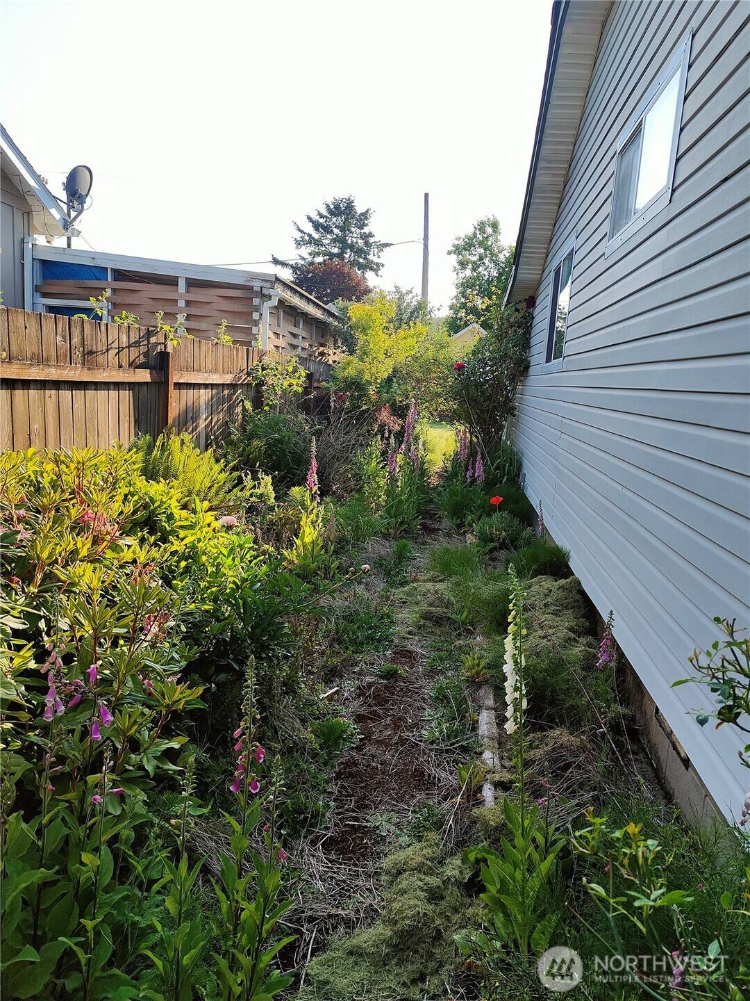 Ryderwood, WA 98581,503 Morse ST
