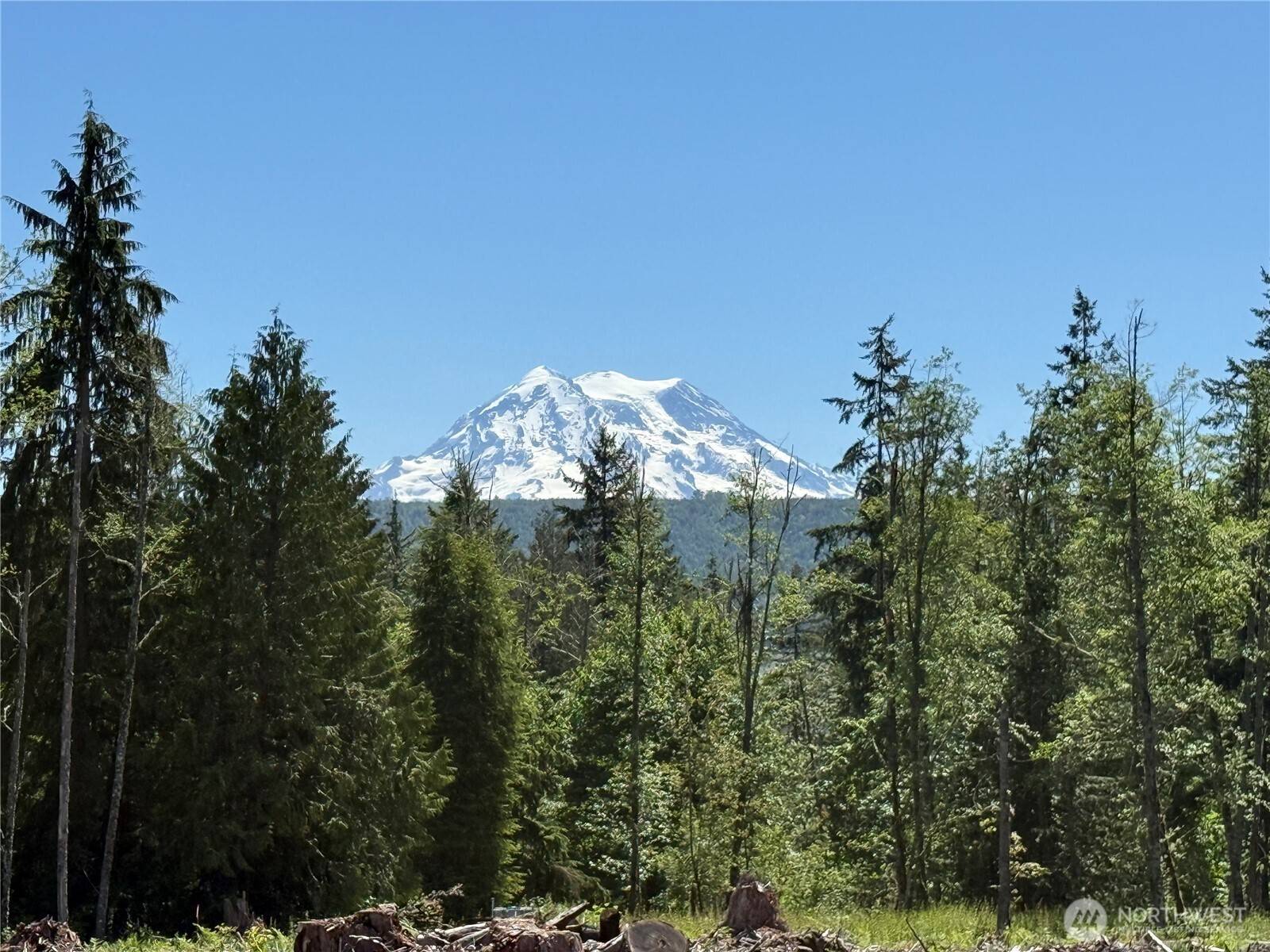 Graham, WA 98338,29555 150th AVE E