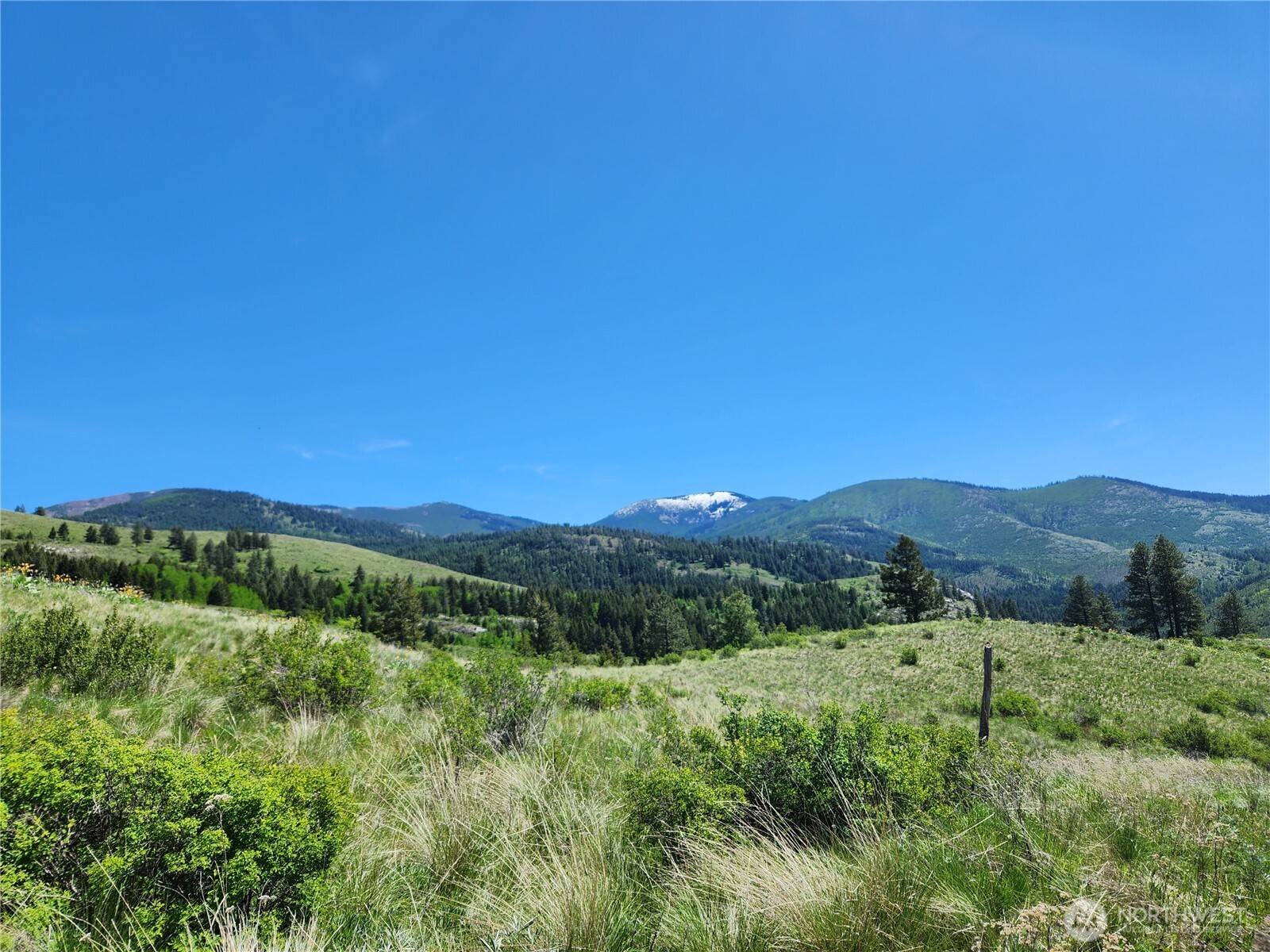 Malo, WA 99150,12 Dignity Ranch RD