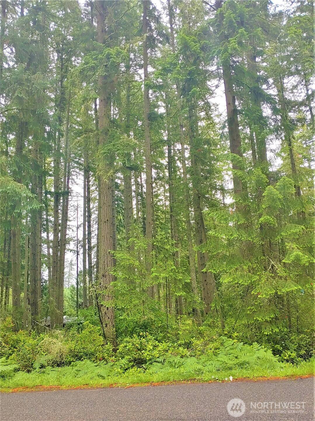 Anderson Island, WA 98303,10014 Edgewood DR