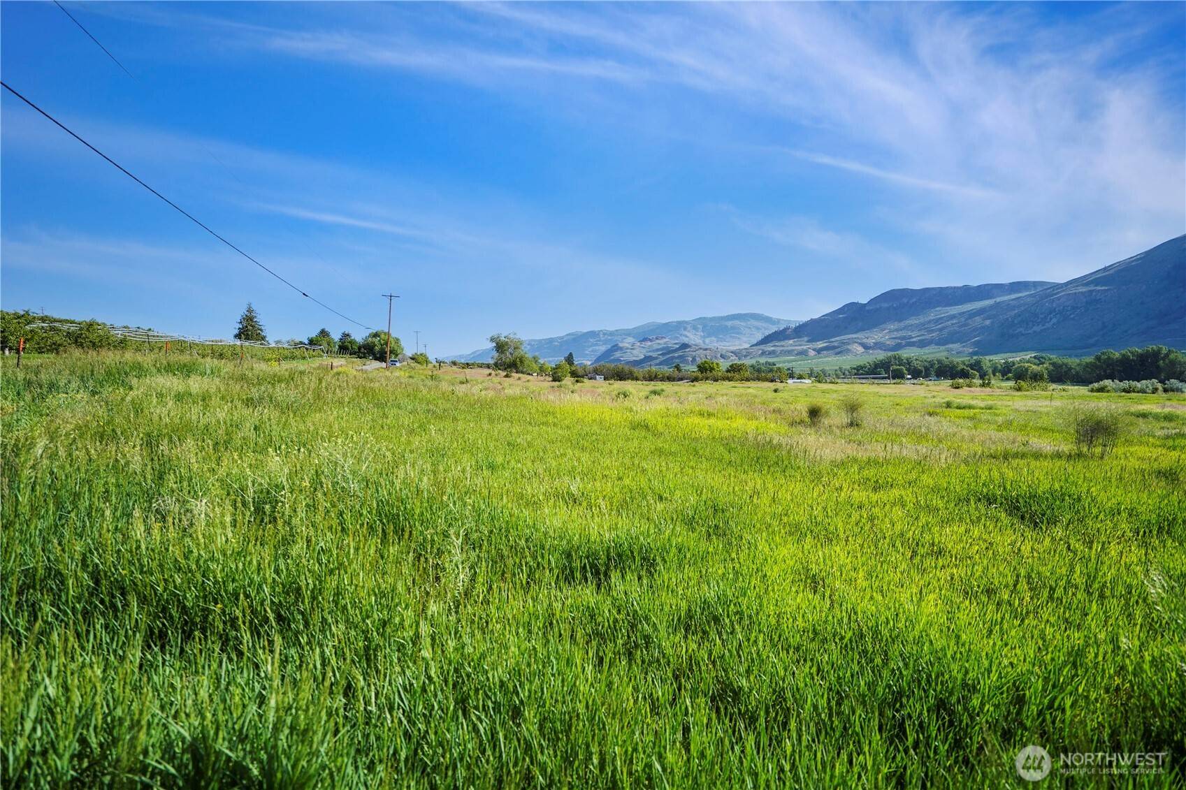 Tonasket, WA 98855,1146 Highway 7