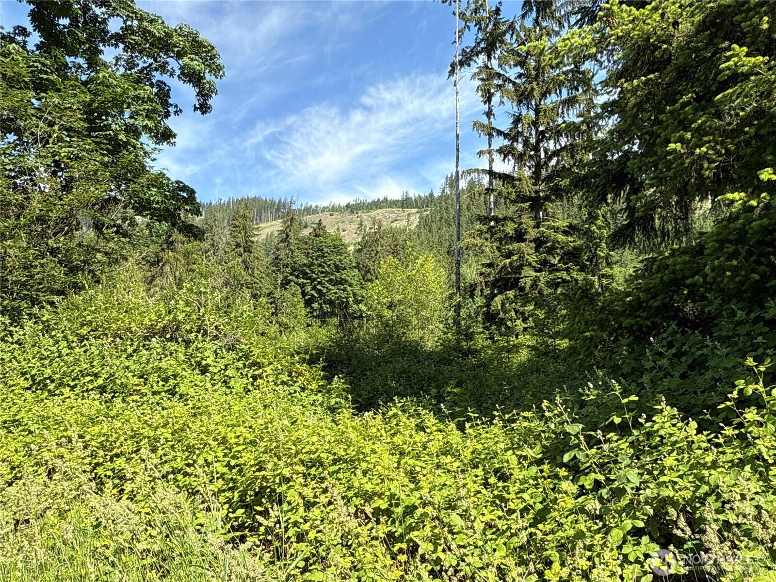 Arlington, WA 98223,17 XXX Jim Creek RD