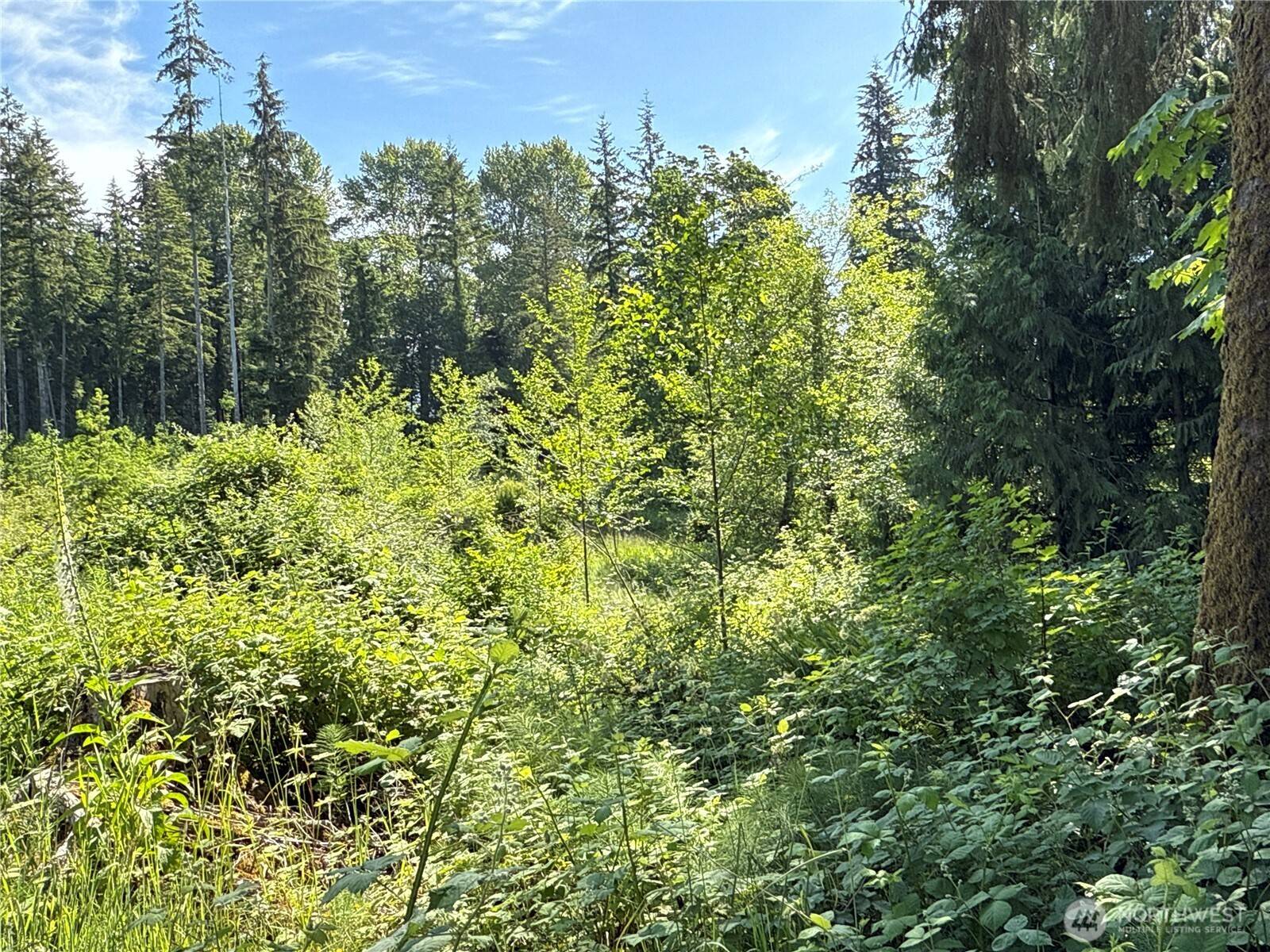 Arlington, WA 98223,17 XXX Jim Creek RD