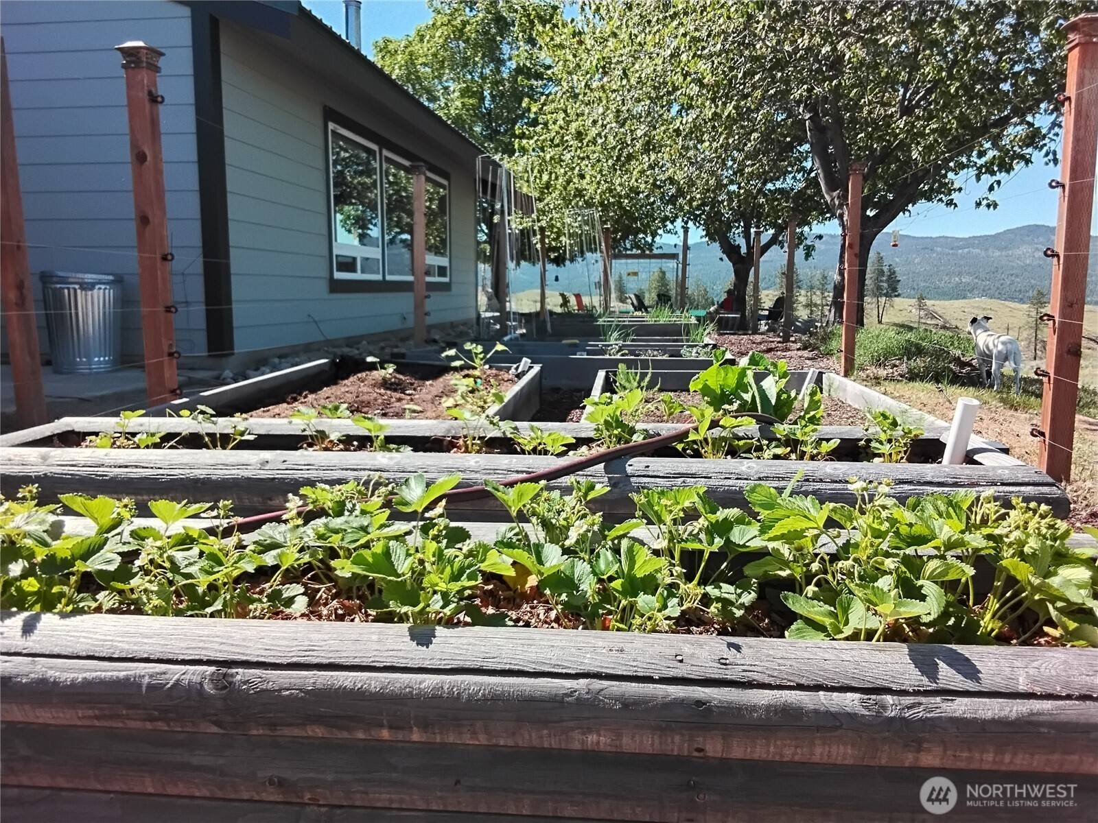 Oroville, WA 98844,30 Tamarack TRL
