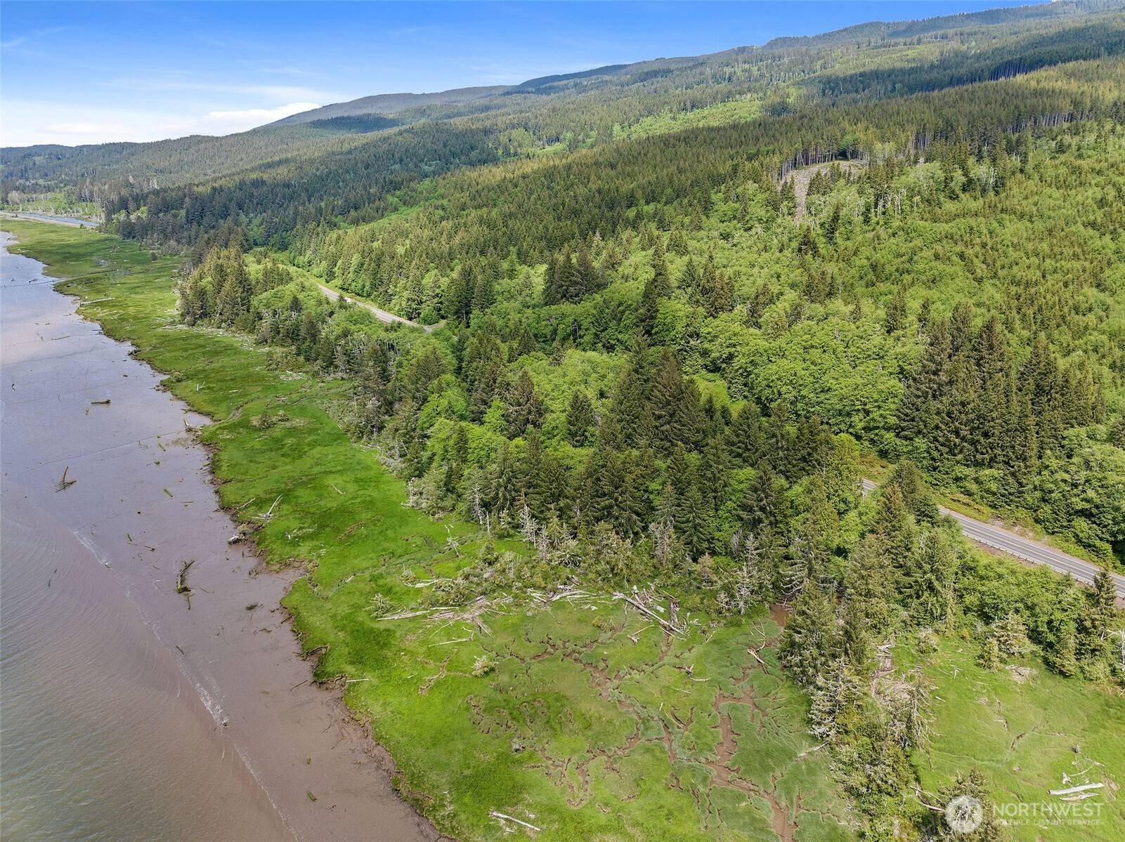 Naselle, WA 98638,0 lot SR 4 #4