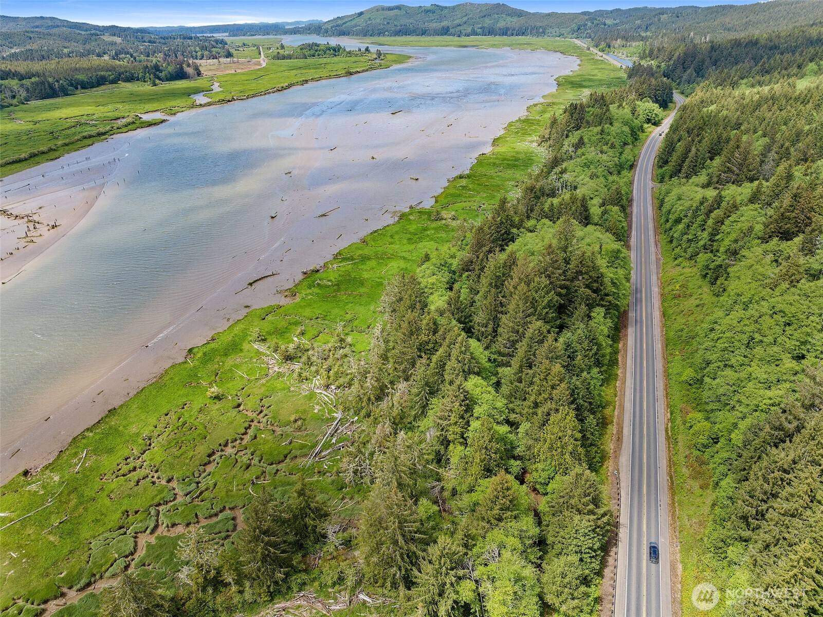 Naselle, WA 98638,0 lot SR 4 #4