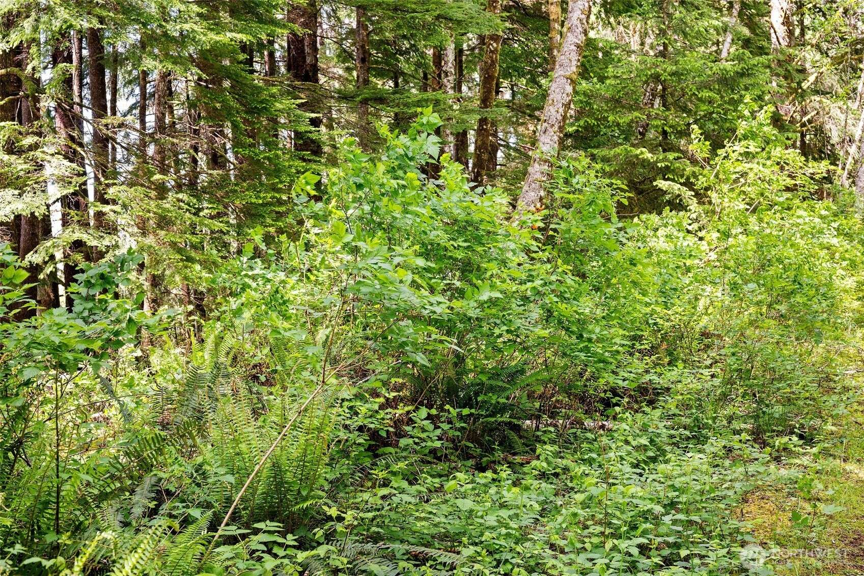 Naselle, WA 98638,0 Lot SR 4 #3