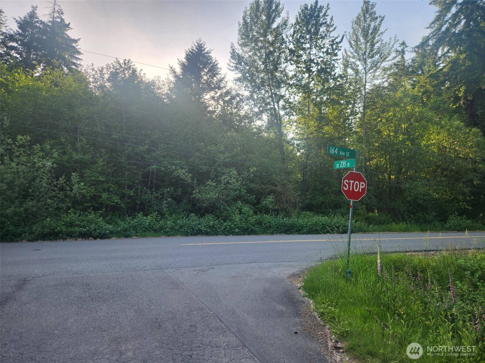 Kent, WA 98042,234 XX 164th AVE SE