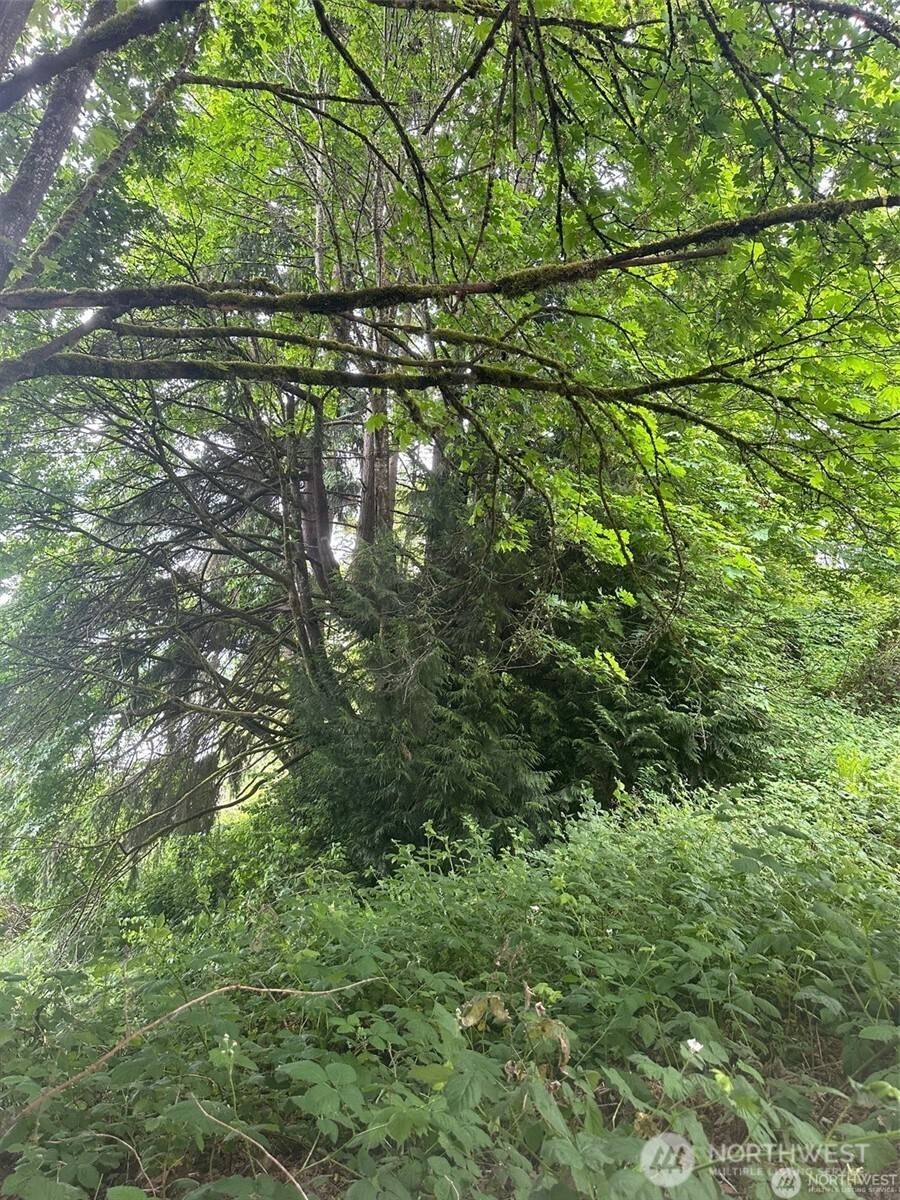 Bremerton, WA 98312,0 Front AVE W