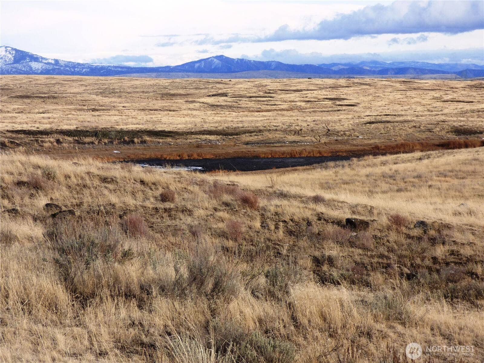 Grand Coulee, WA 99133,0 NNA