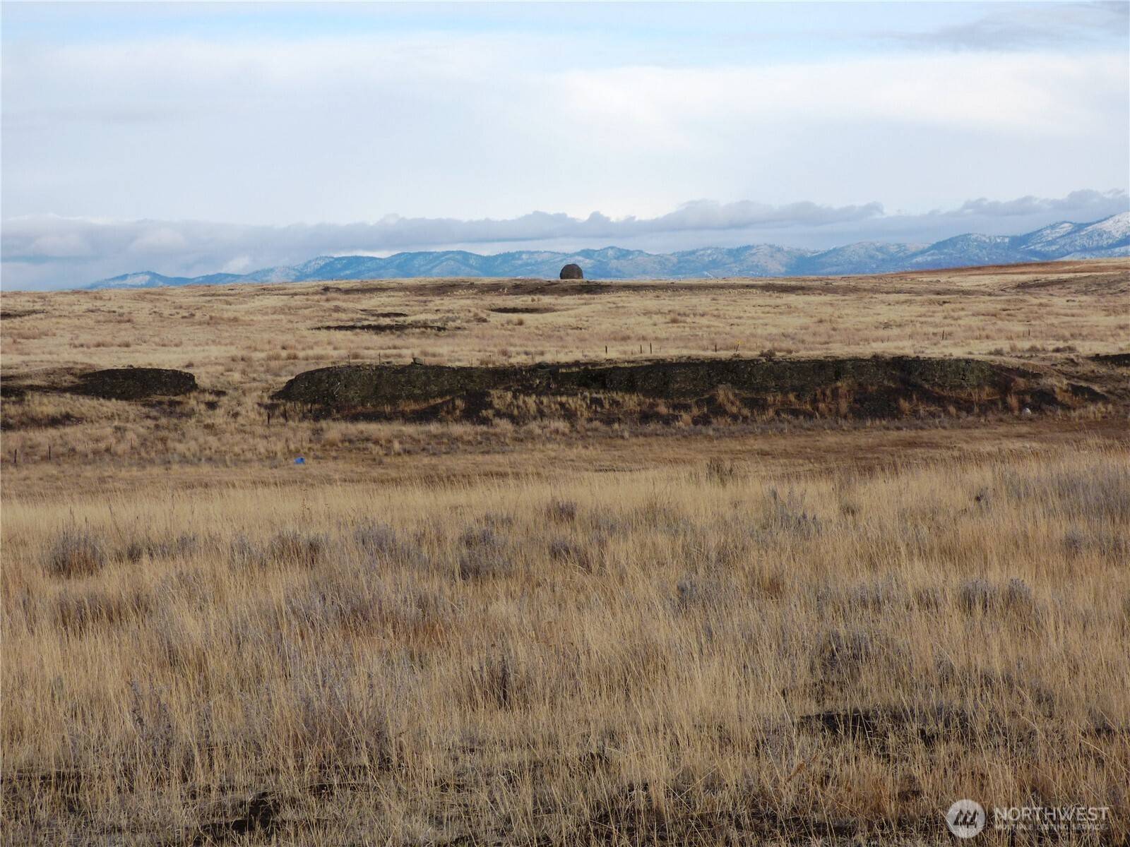 Grand Coulee, WA 99133,0 NNA