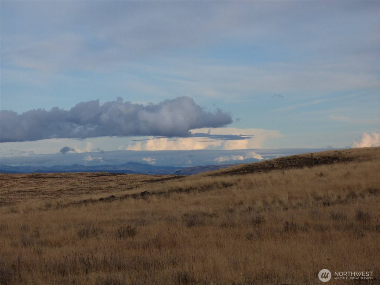 Grand Coulee, WA 99133,0 NNA