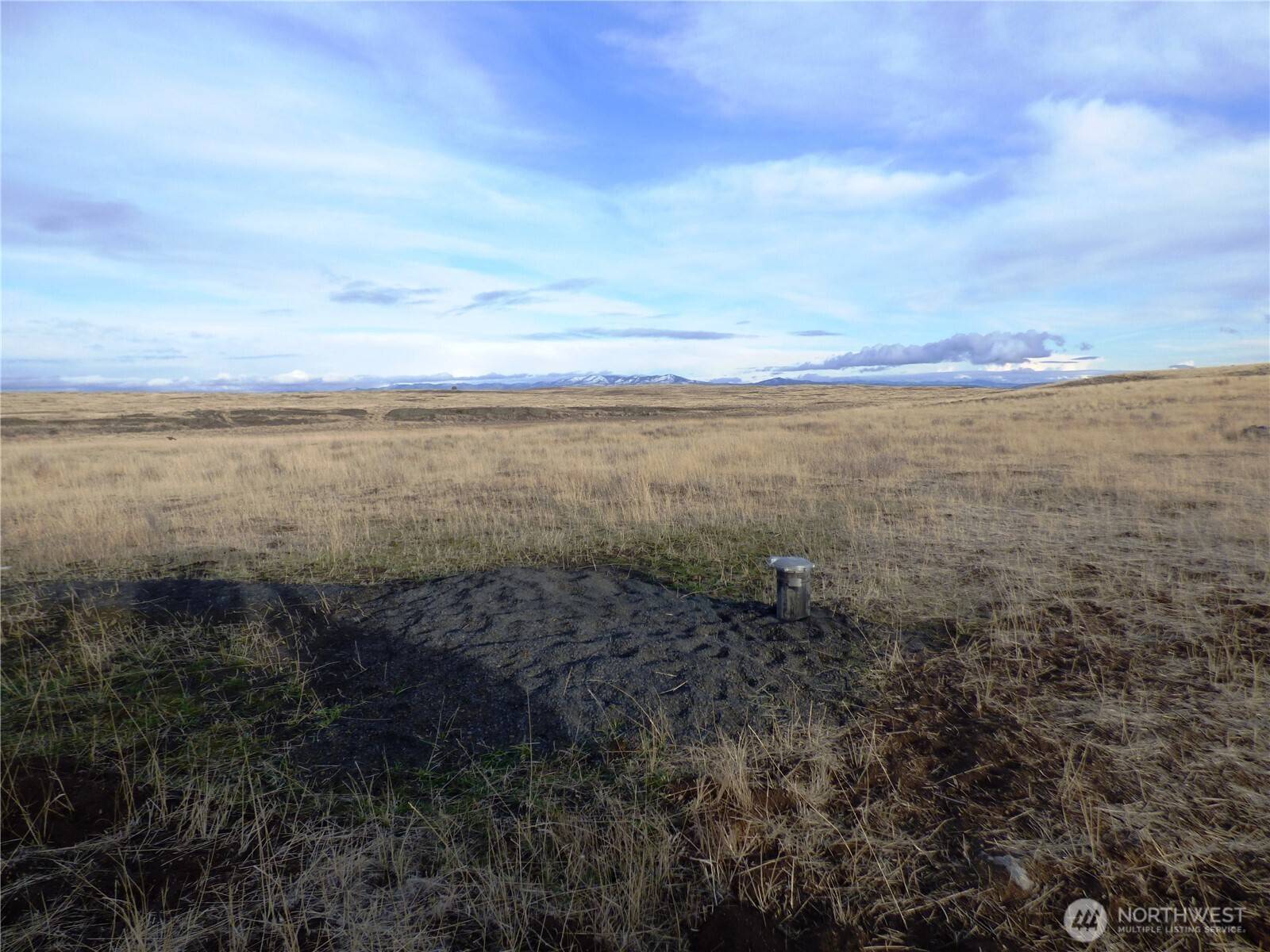 Grand Coulee, WA 99133,0 NNA