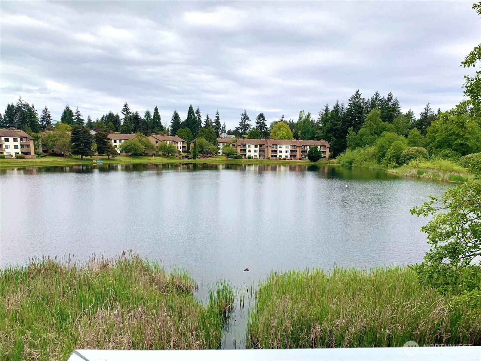 Federal Way, WA 98003,31003 14th AVE S #C12