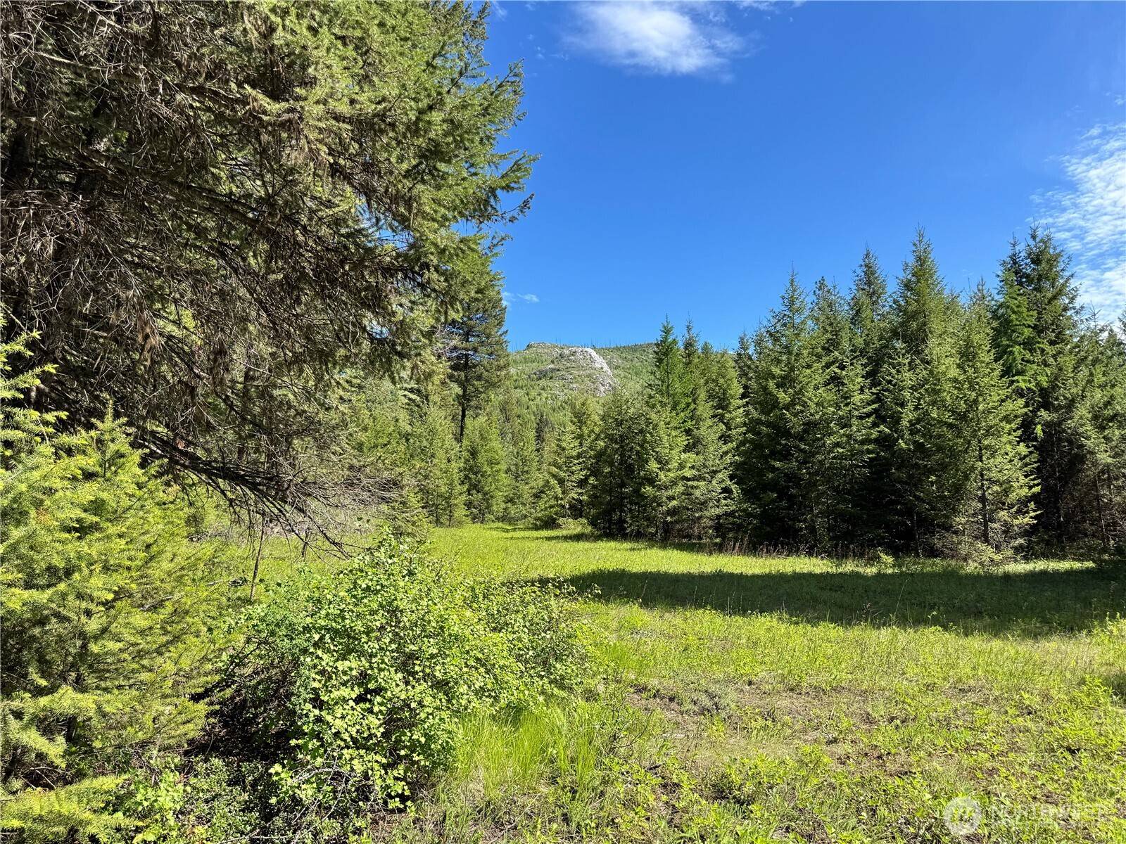 Republic, WA 99166,1 XXX Hawkeye LN