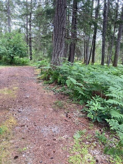Hoodsport, WA 98548,40 N Silver LN