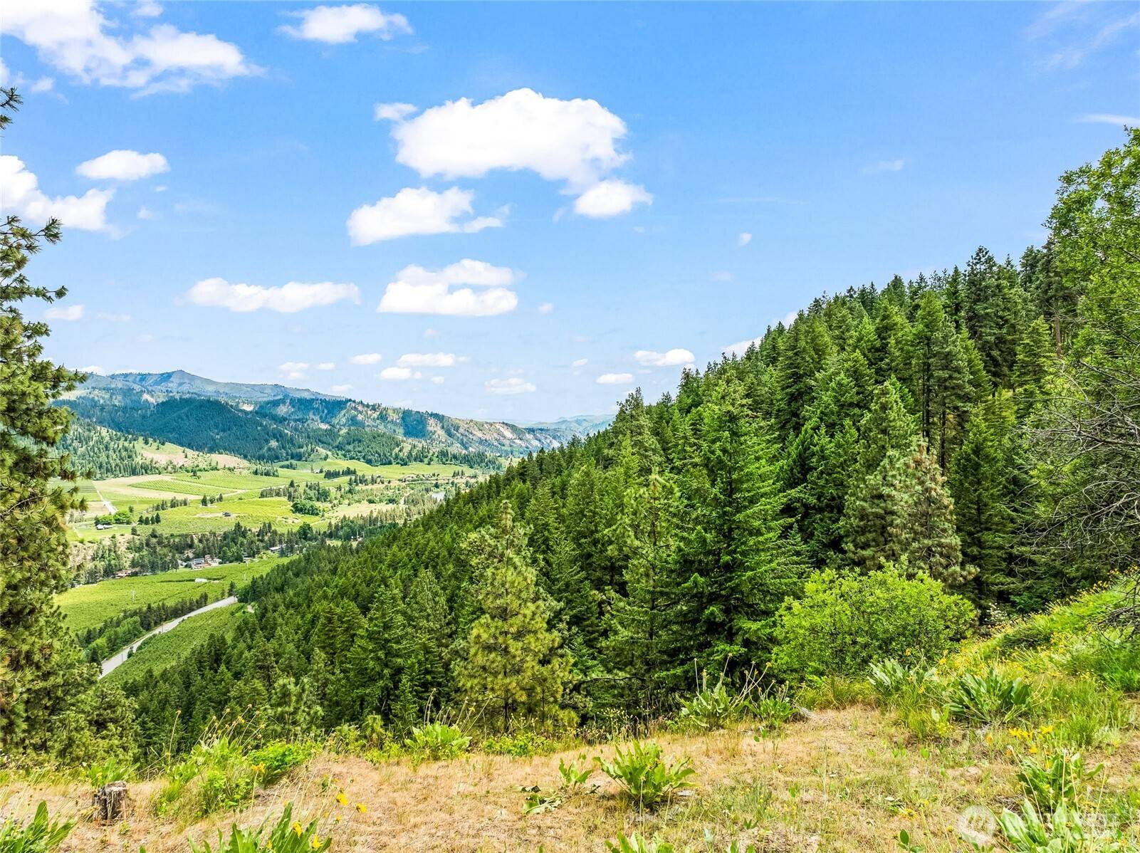 Leavenworth, WA 98826,981 Nighthawk Ridge LN