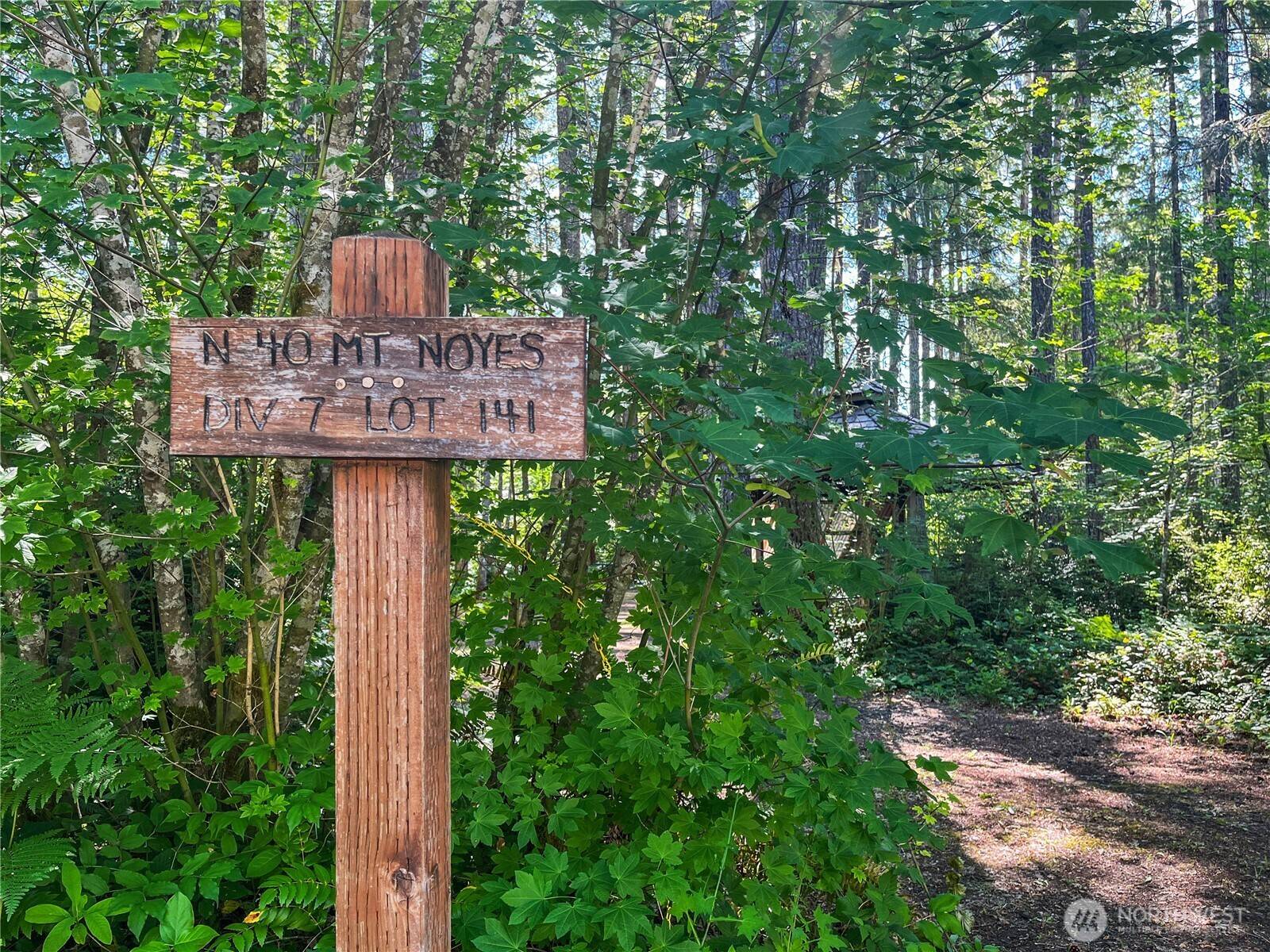Hoodsport, WA 98548,40 N Mount Noyes PL
