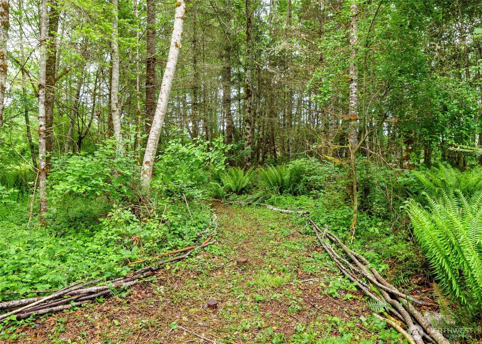 Quilcene, WA 98376,99999 Lakenes RD