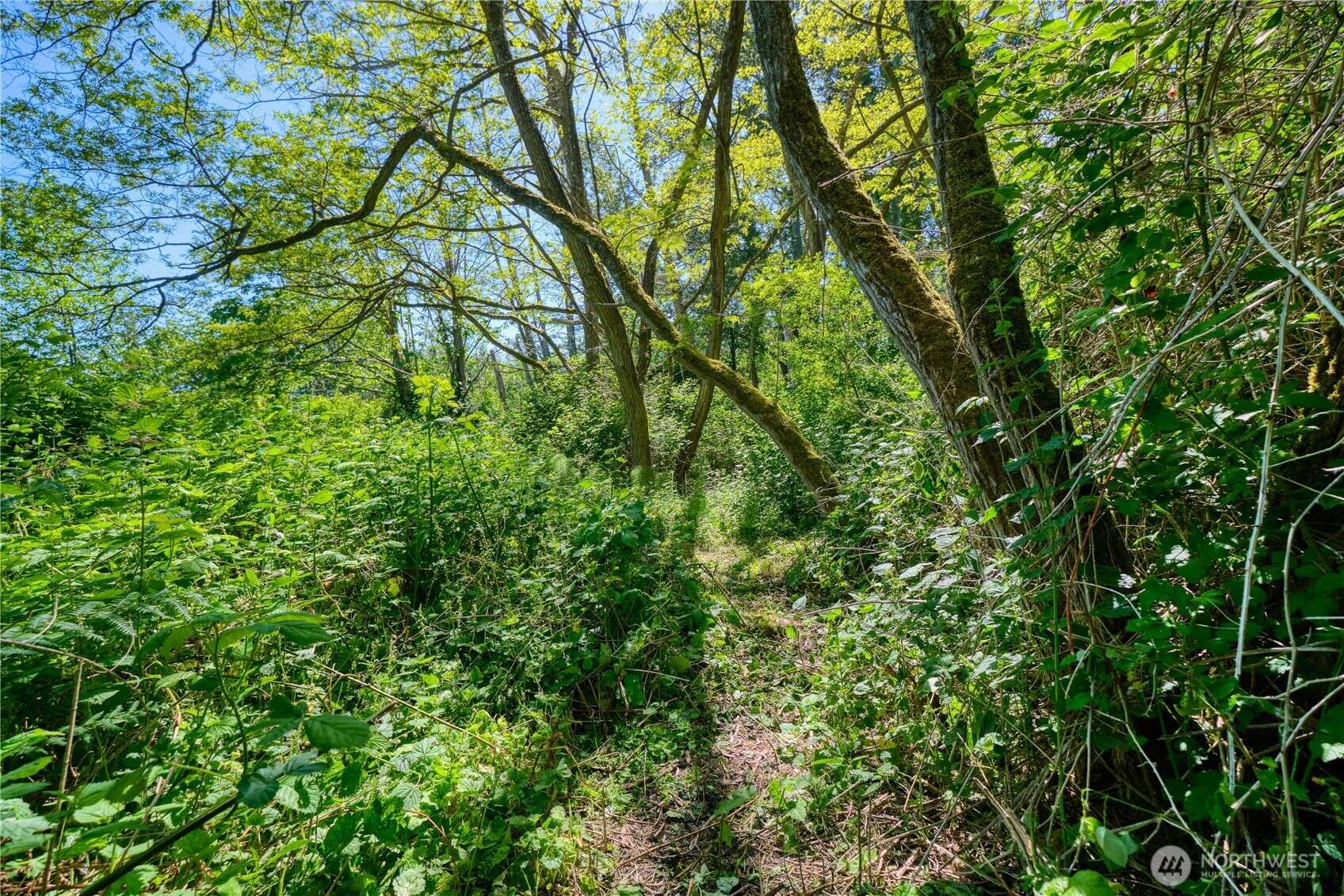 Point Roberts, WA 98281,0 6.39 acres South Beach RD