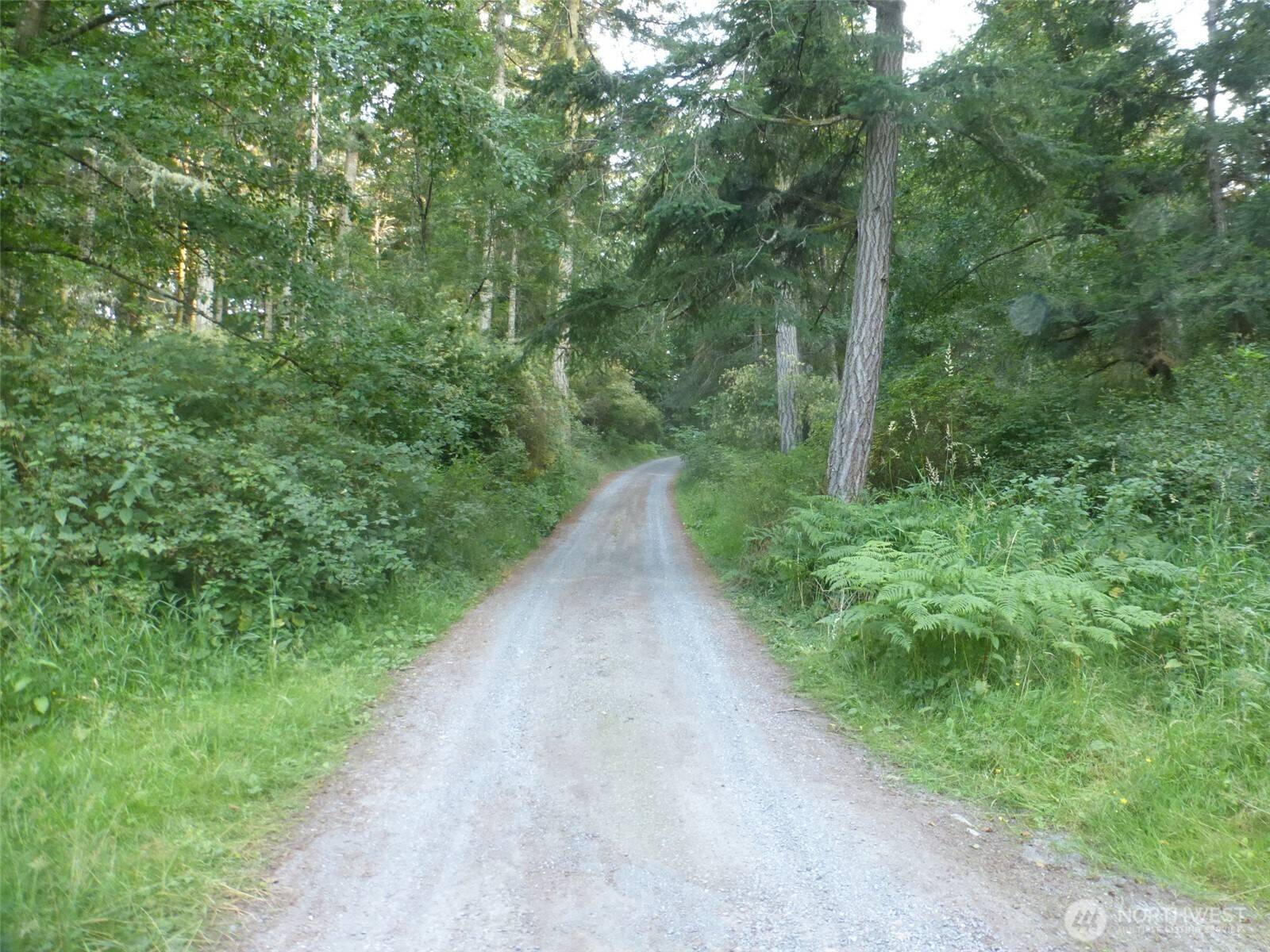 Lopez Island, WA 98261,545 Hooterville LN