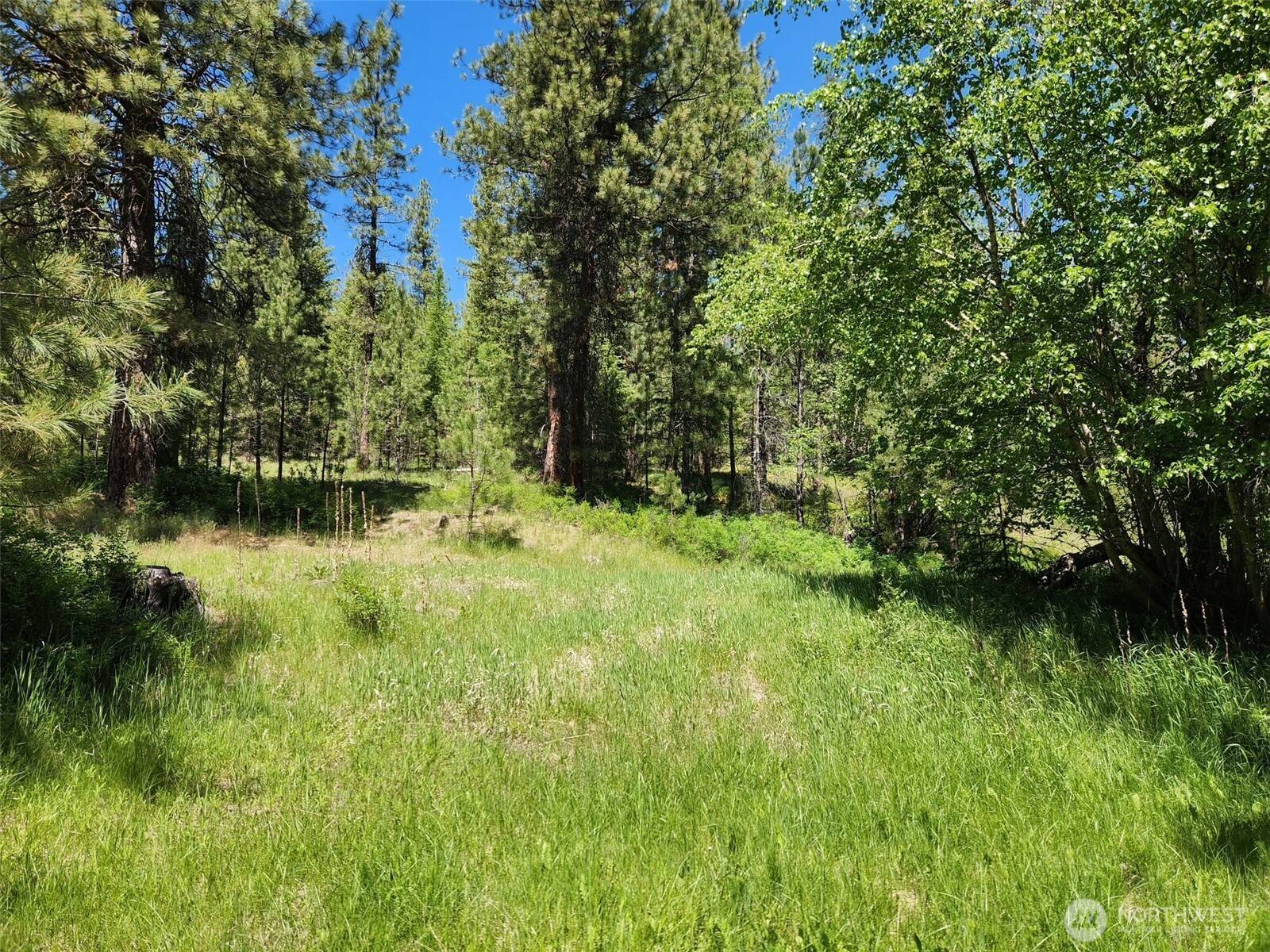 Riverside, WA 98849,0 Wild Turkey Lane